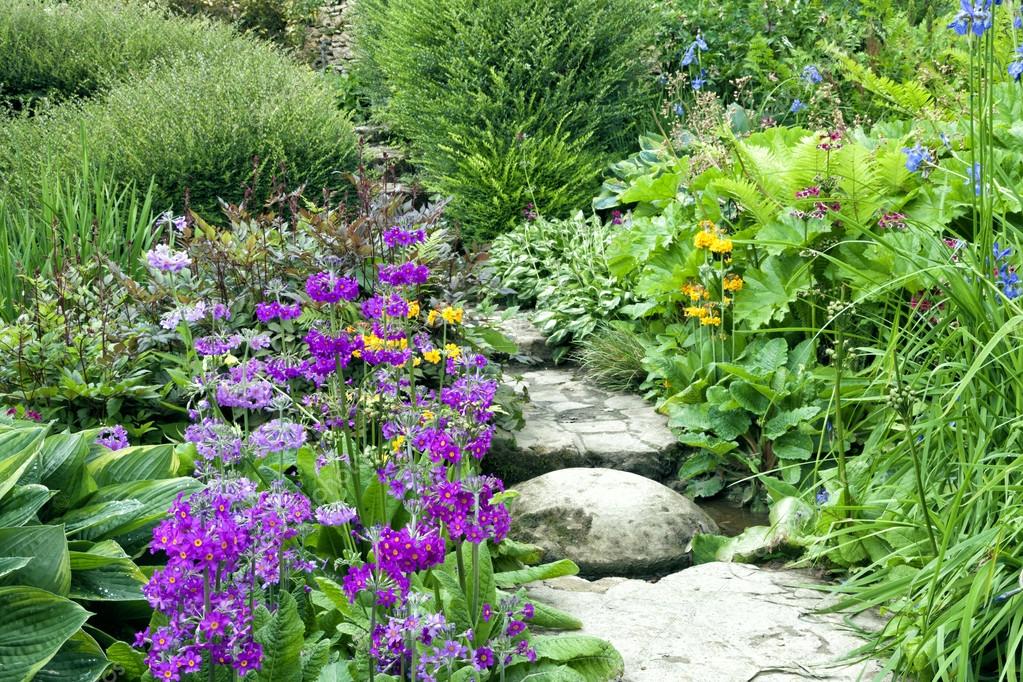 Harmony between Man and nature in ancient Greek and Chinese philosophy