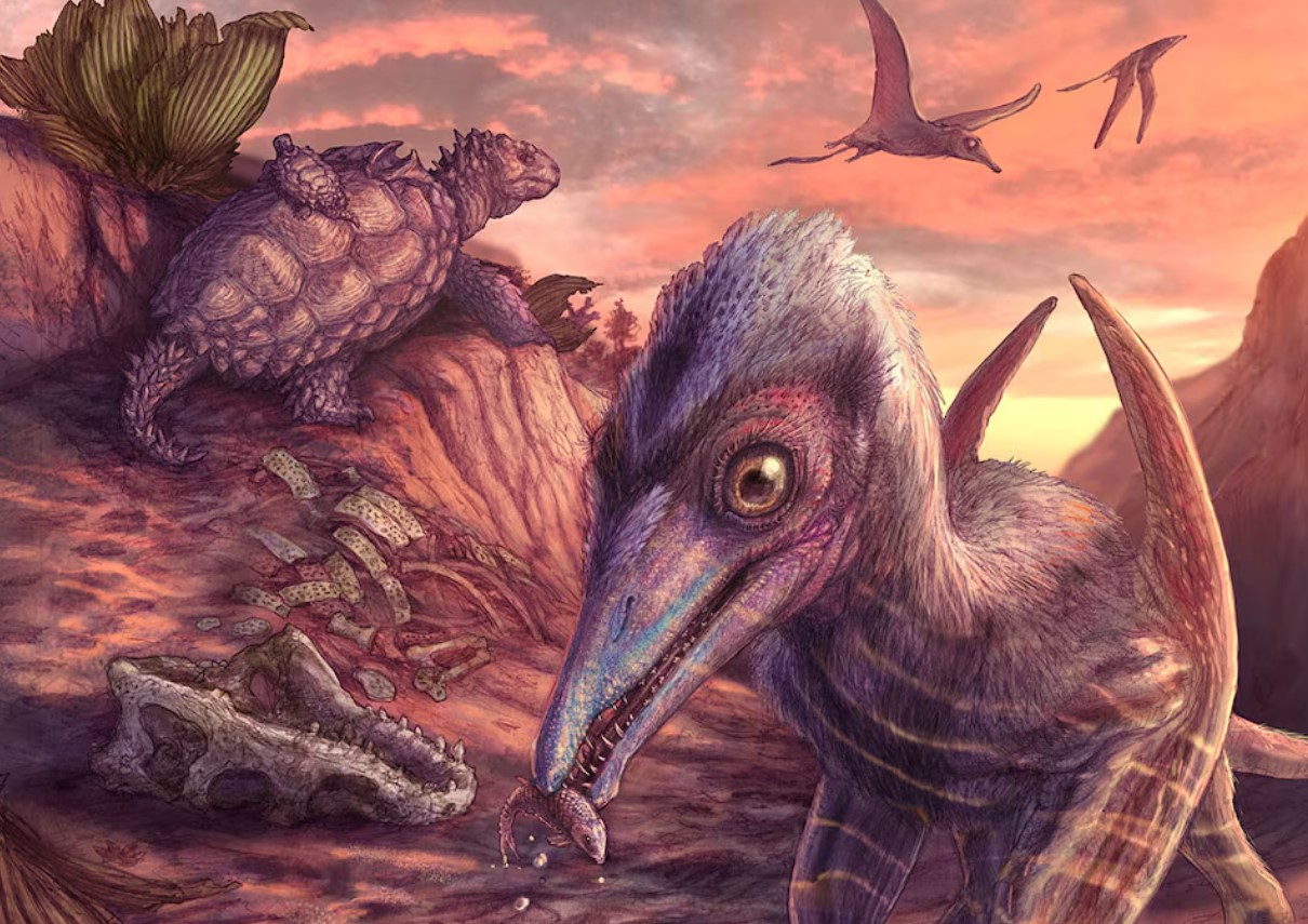 cover Arizona fossils reveal an ecosystem in flux early in the age of dinosaurs
