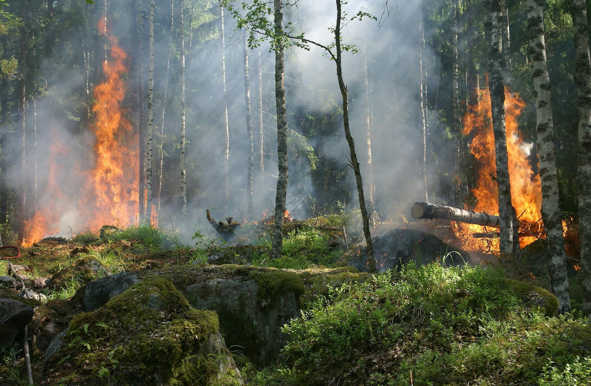 Fighting fire with innovation: a pan-European push to tackle extreme wildfires