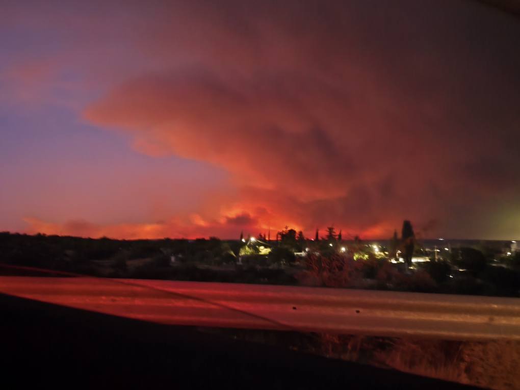 cover Forestry department issues red alert for wildfire risk