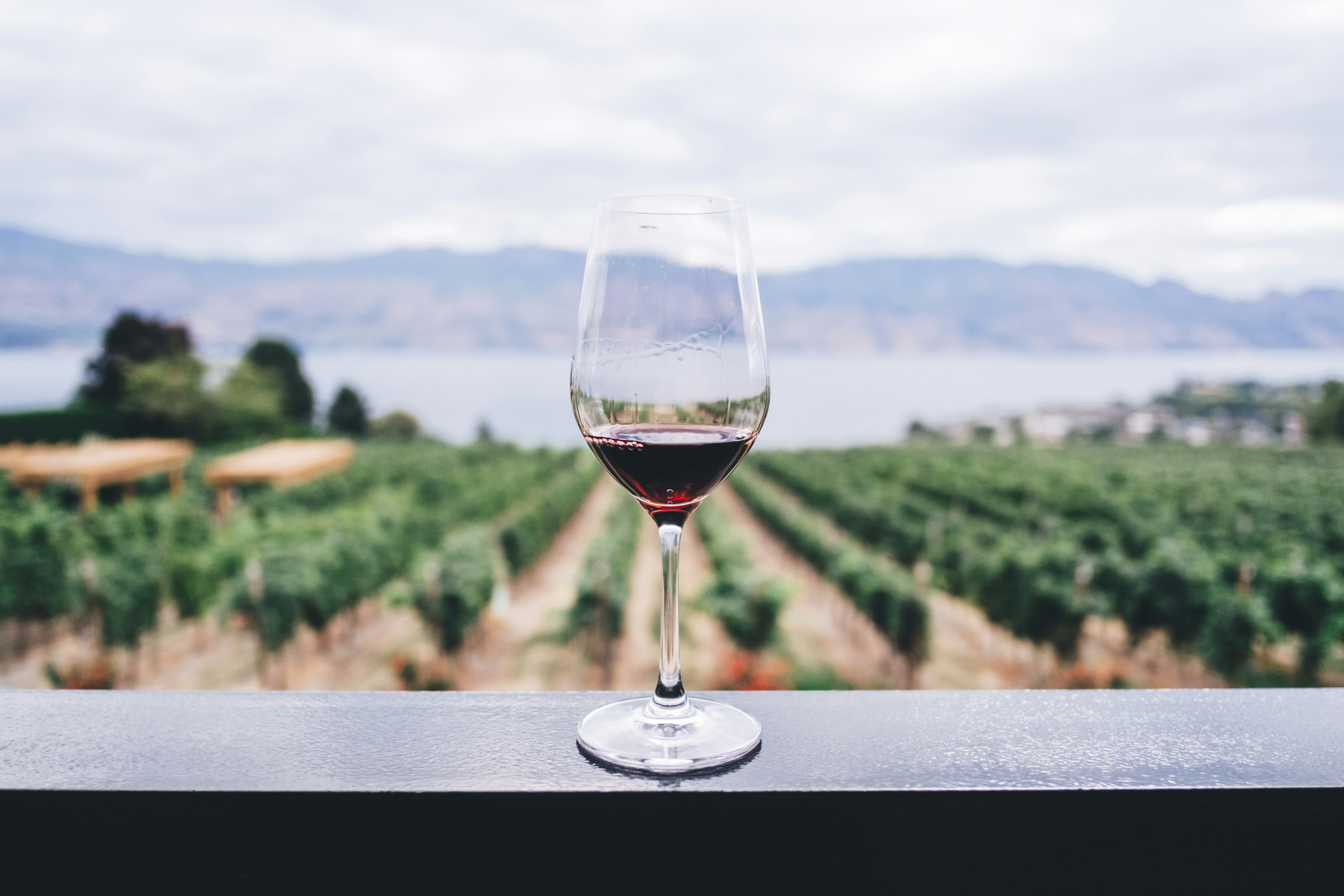 cover Enjoy wine and the full moon in Vouni
