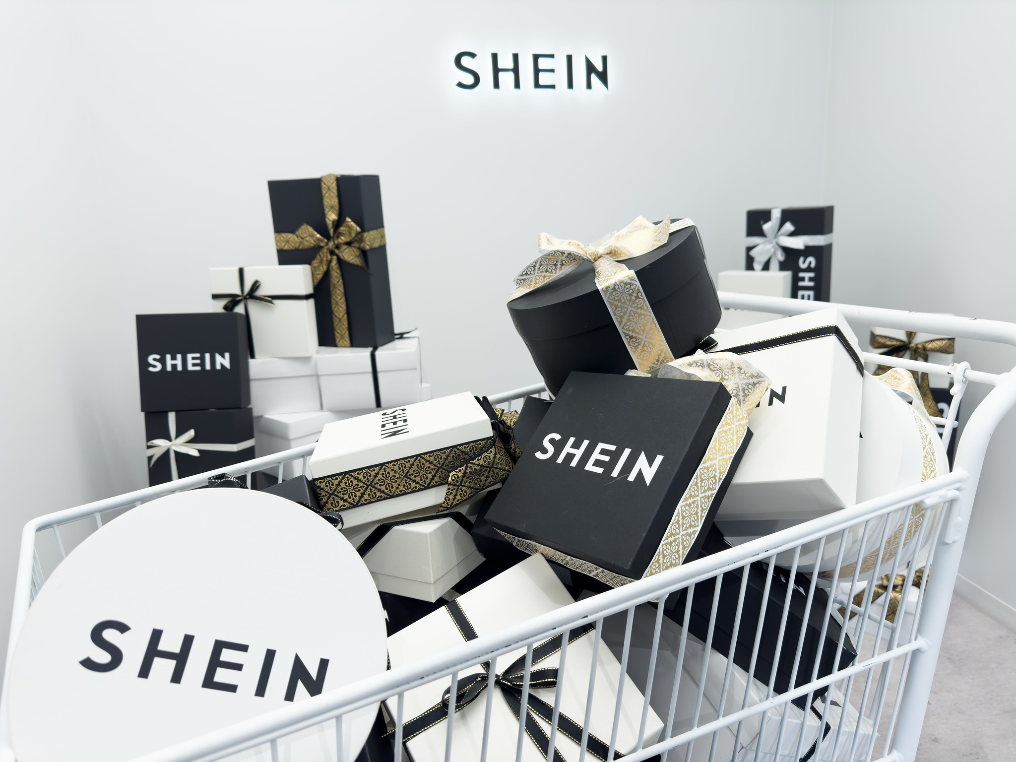 cover Why is Shein so cheap?