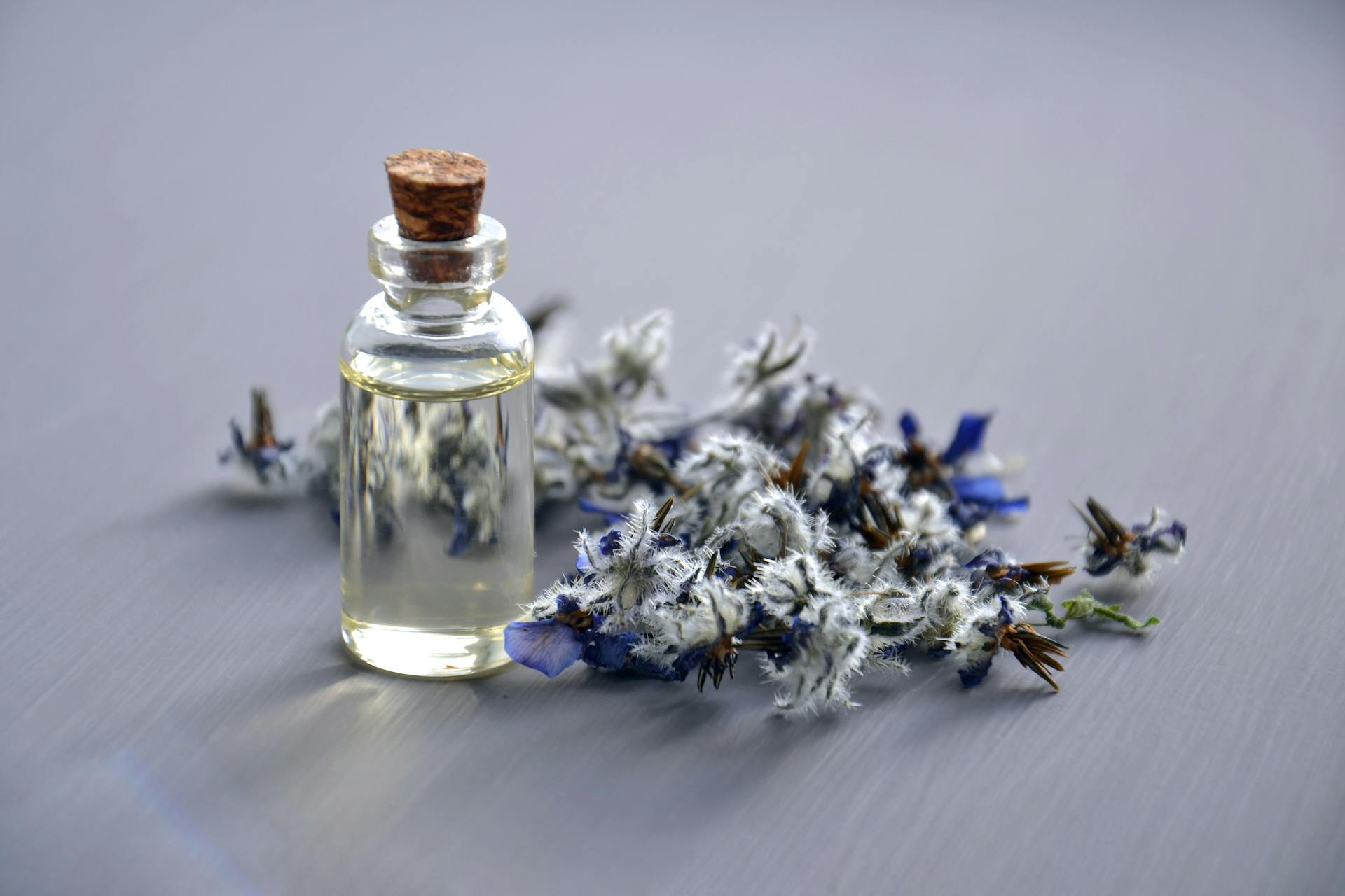 Researchers revive Europe’s historical scents, including ‘the smell of hell’