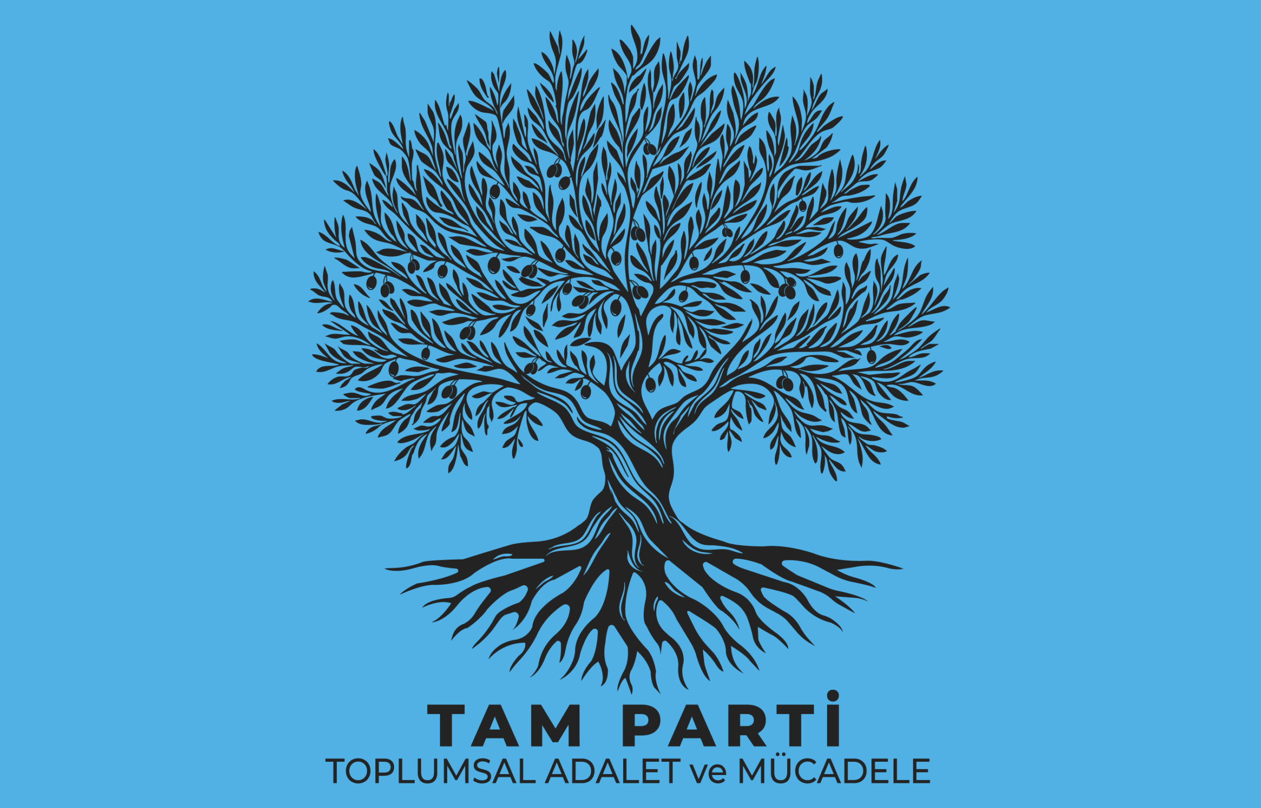 TAM party, politics, north, Serdar Denktash, Cyprus problem Cyprus talks
