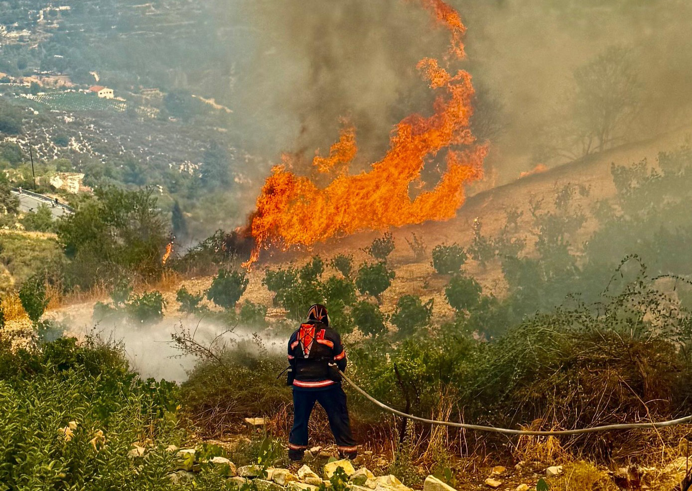 ‘Too little too late’ for forest firefighters