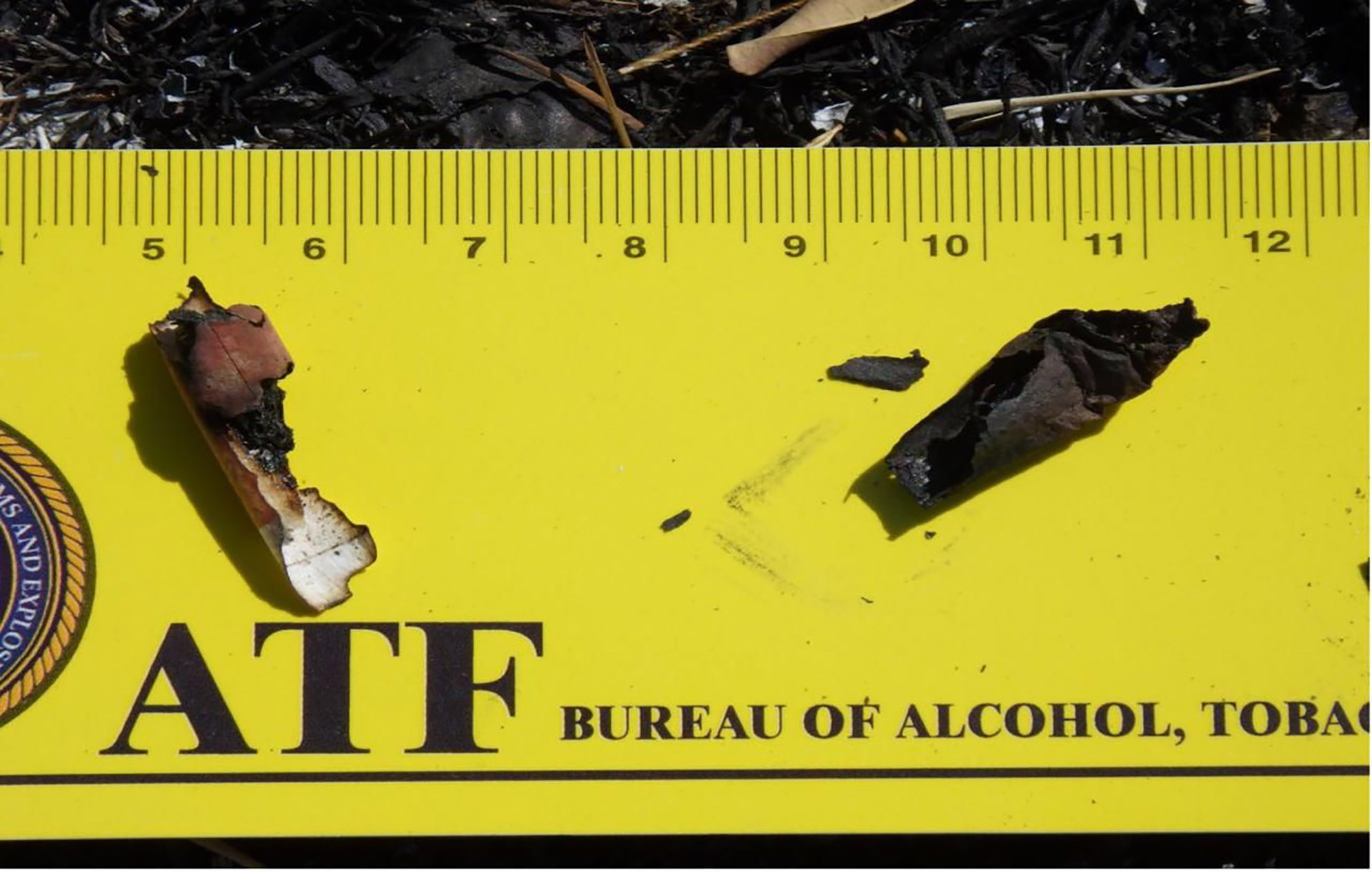 image US report: cigarette sparked deadly Limassol wildfire