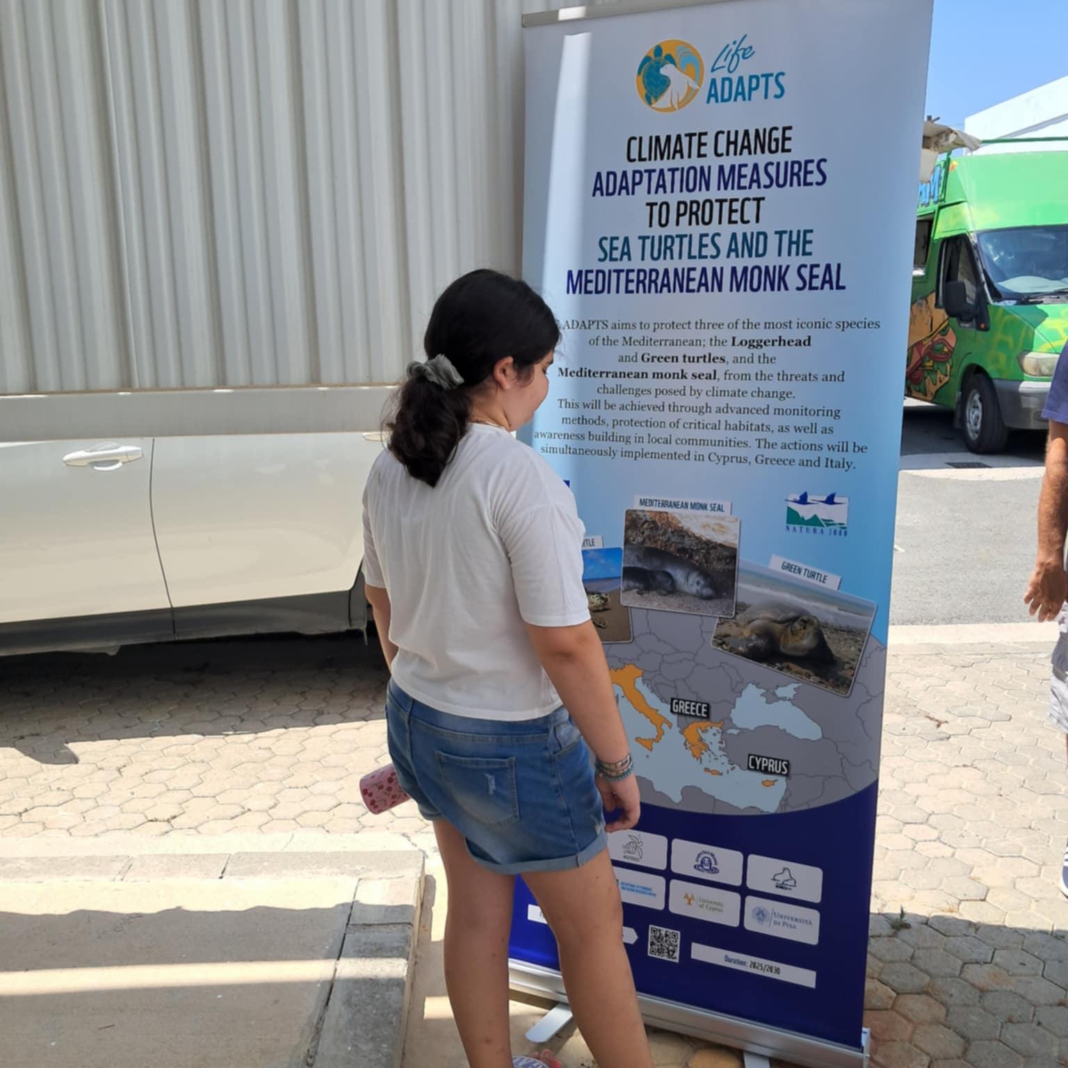 green turtle, loggerhead, sea turtle, Department of Fisheries and Marine Research, Life Adapts