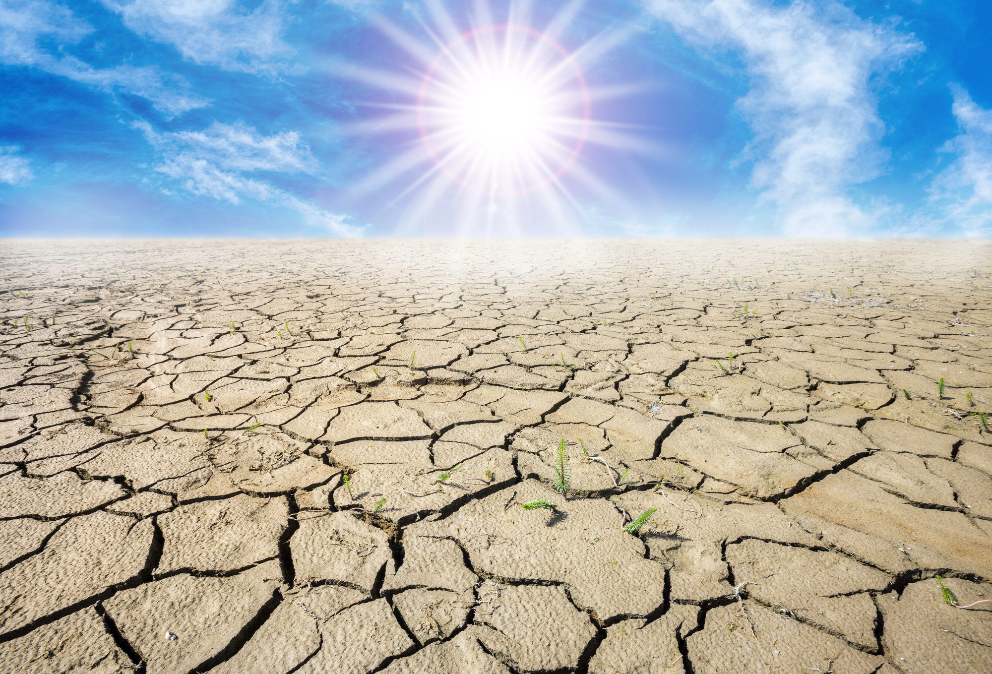 cover Europe faces 2.3 million heat deaths this century without action, warns Madeleine Thomson