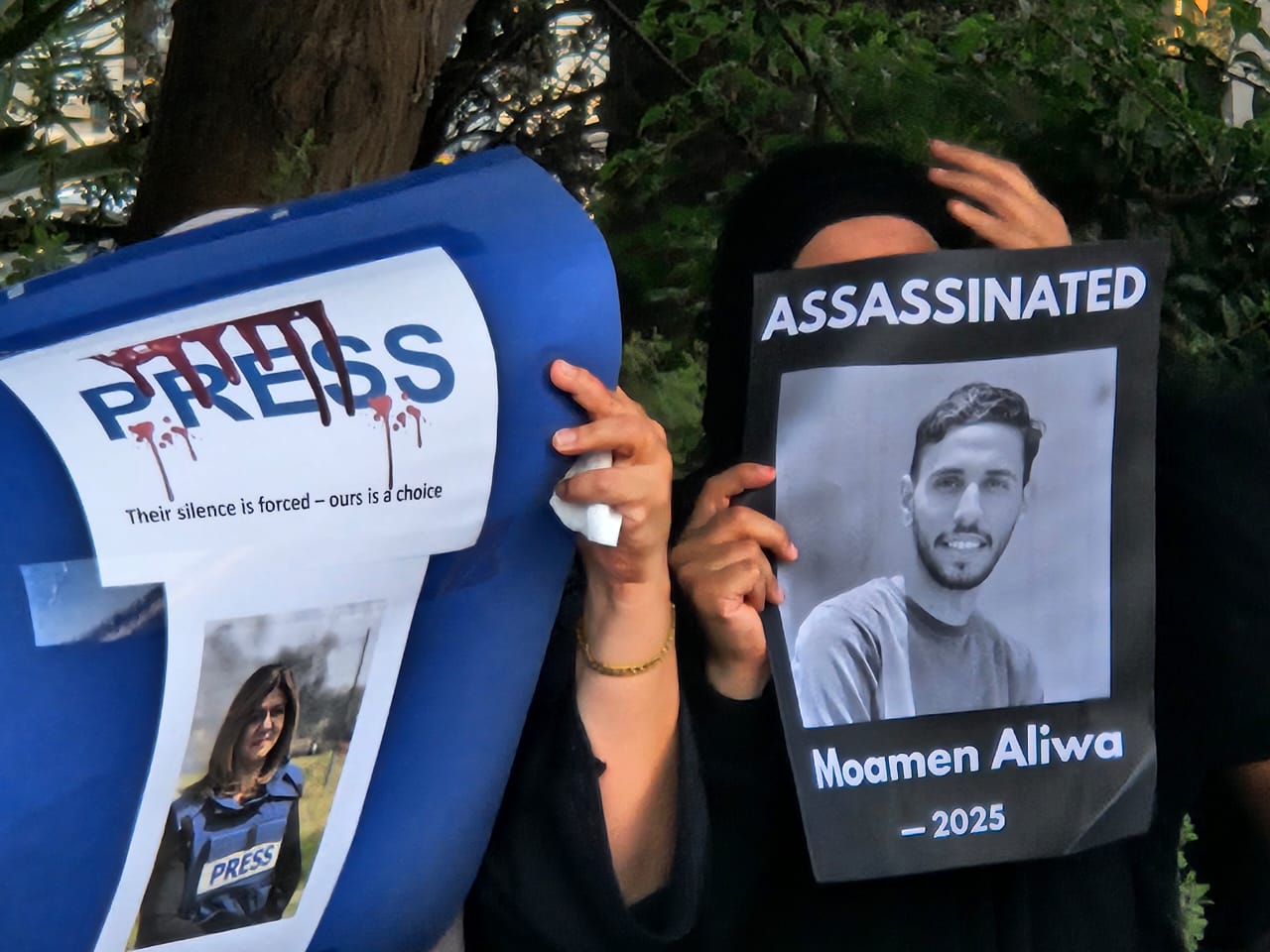 Nicosia, journalist, protest, demonstration