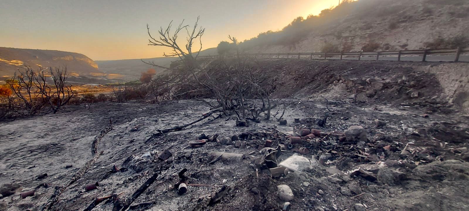 Wildfire scars threaten decades of barren land in Limassol