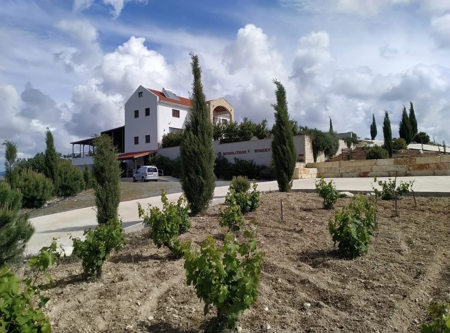Limassol, winery, viticulture, Pachna
