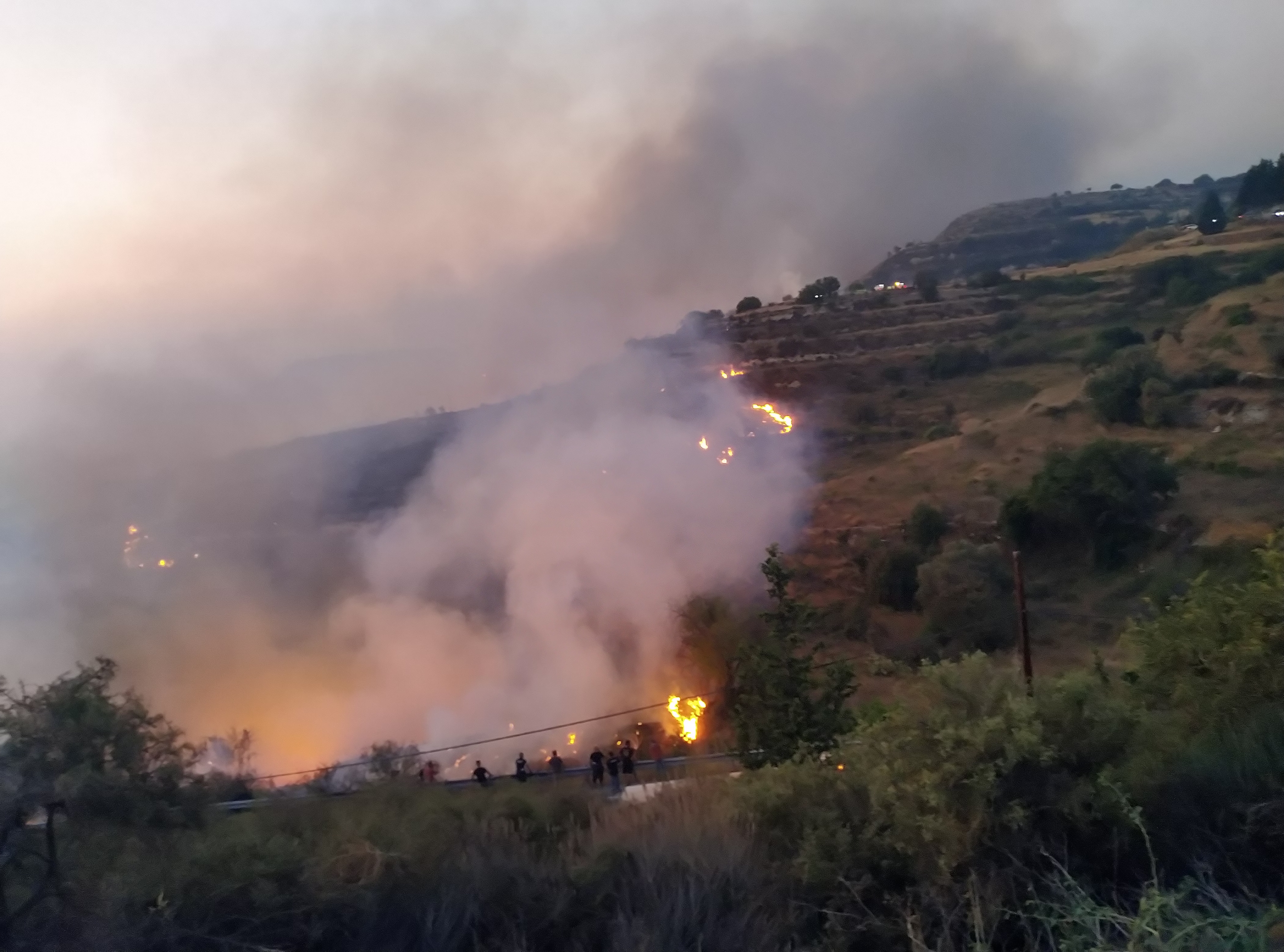Limassol, winery, viticulture, Pachna, wildfire, fire