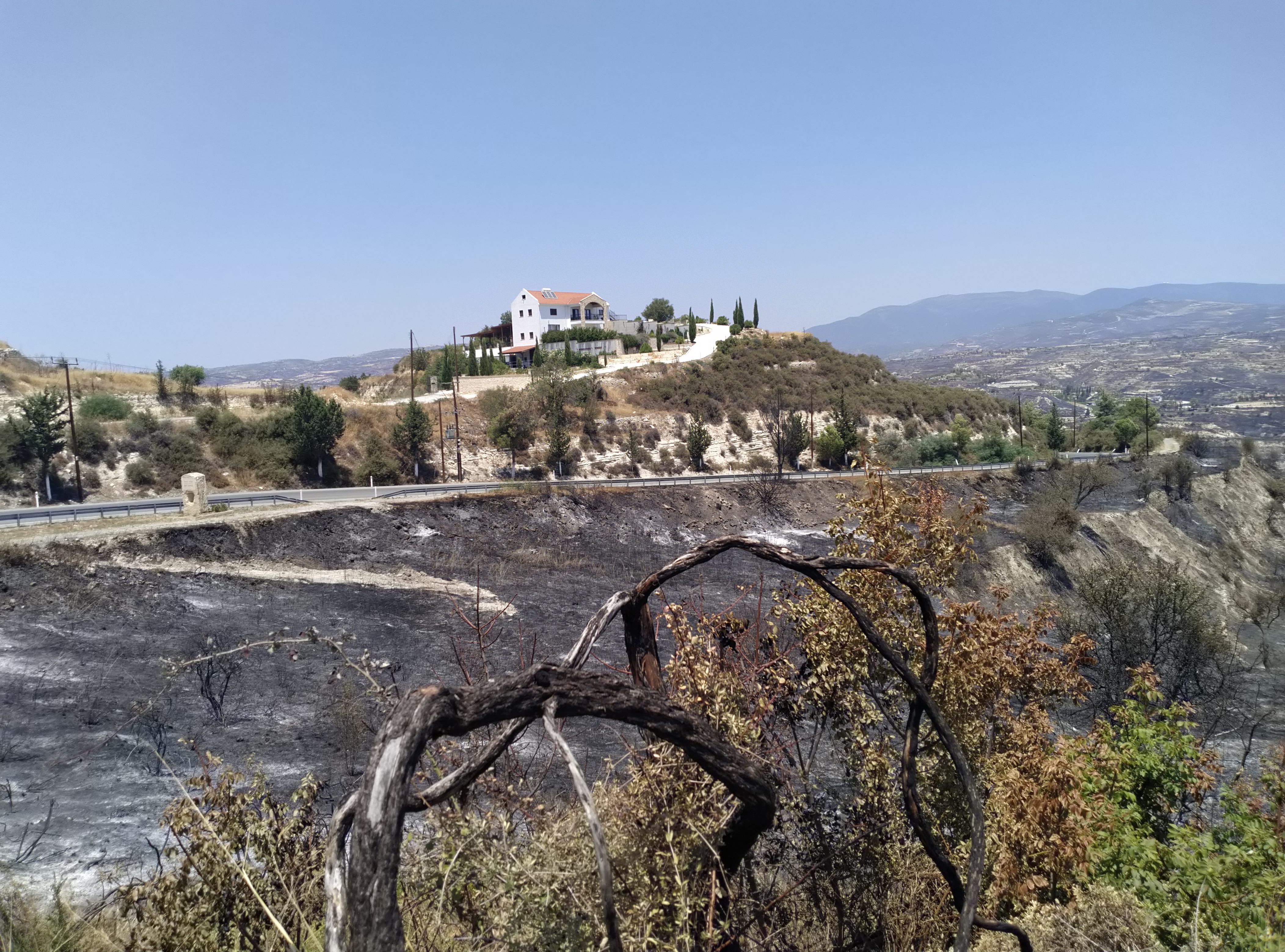 Limassol’s Monolithos winery reconnected to power after wildfire devastation