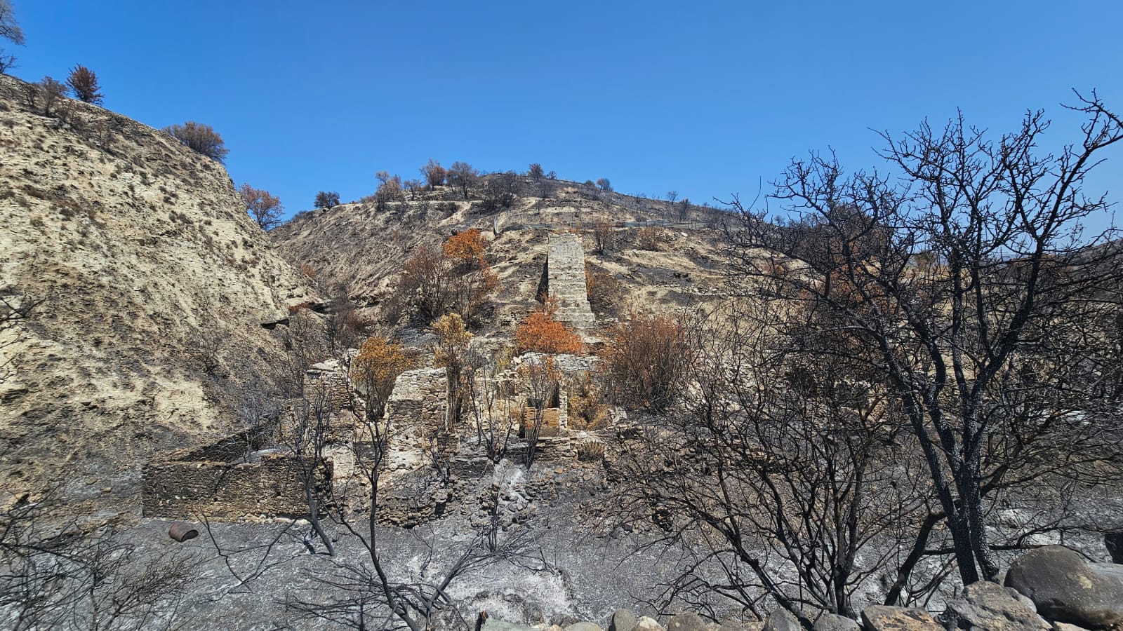 cover Government aims for swift return of fire-hit areas to tourism