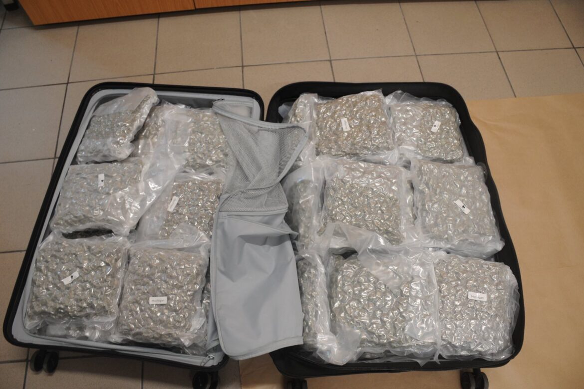 cover Remand after 22kg cannabis found in luggage