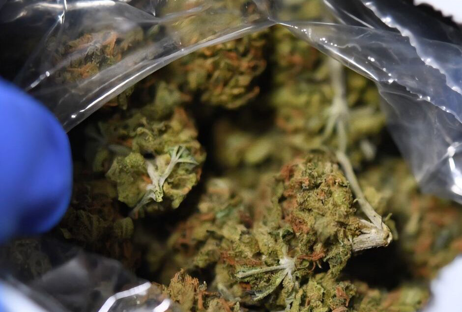 Arrests made after cannabis found at courier offices