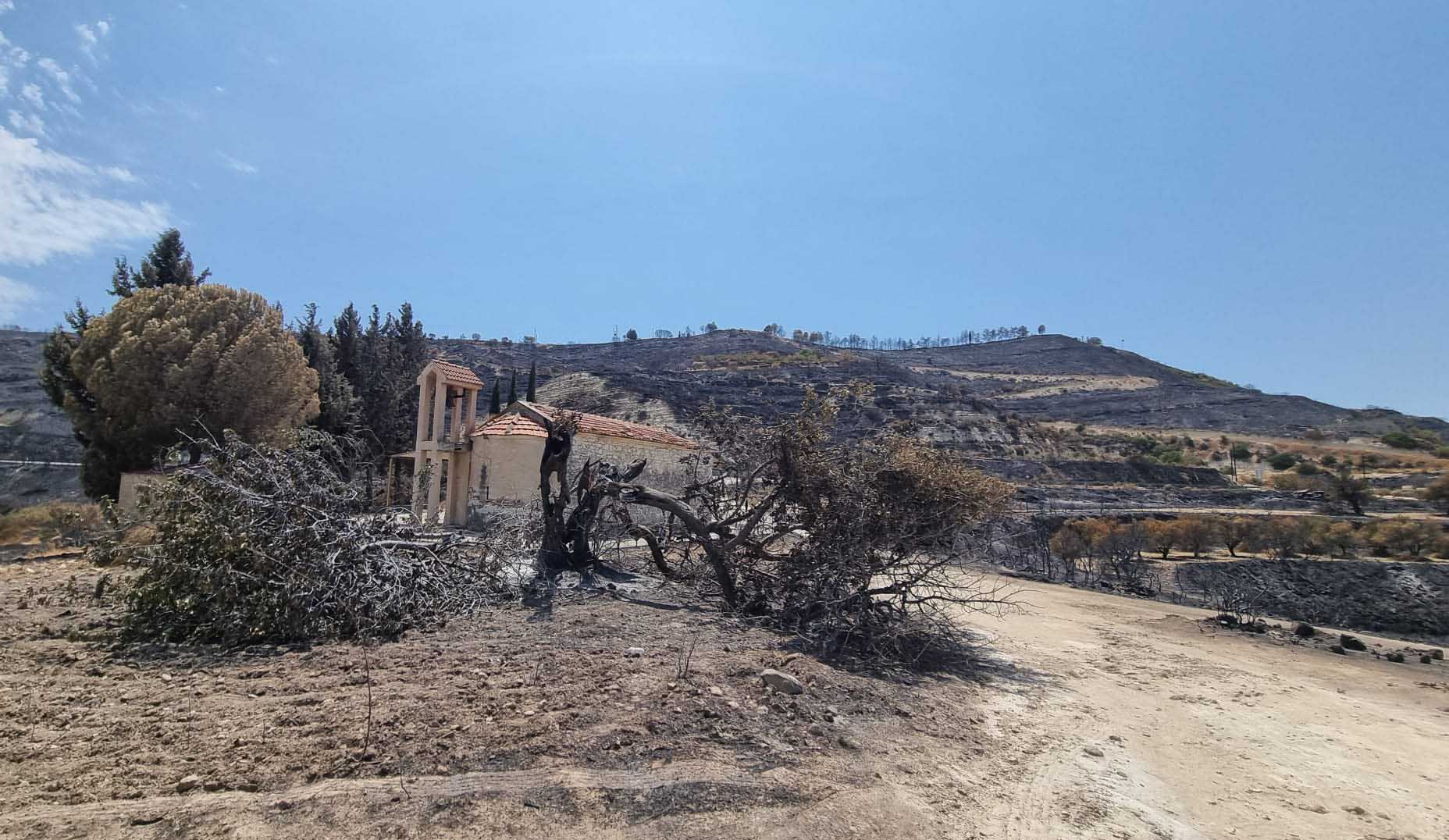 Coated with ash: the aftermath of the wildfires