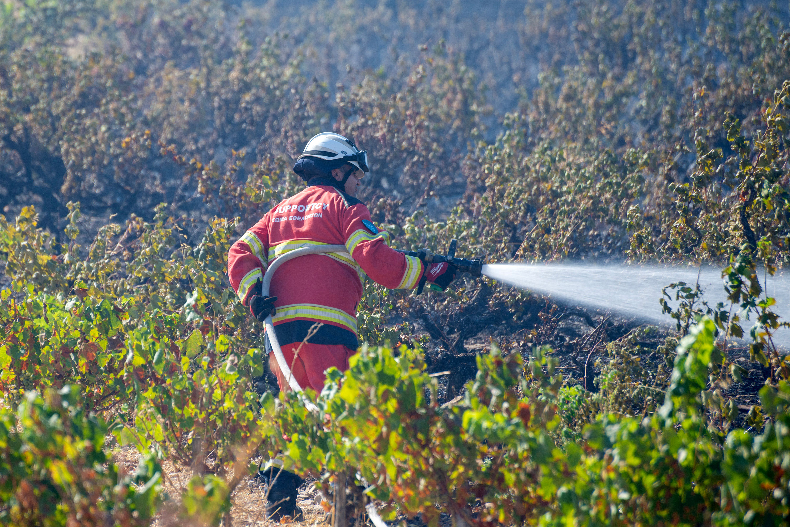 Omodos fire started in pile of rubbish left next to road