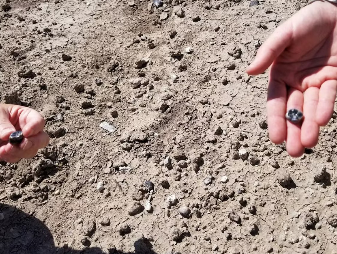 cover Ethiopian fossils reveal new species in human evolutionary lineage