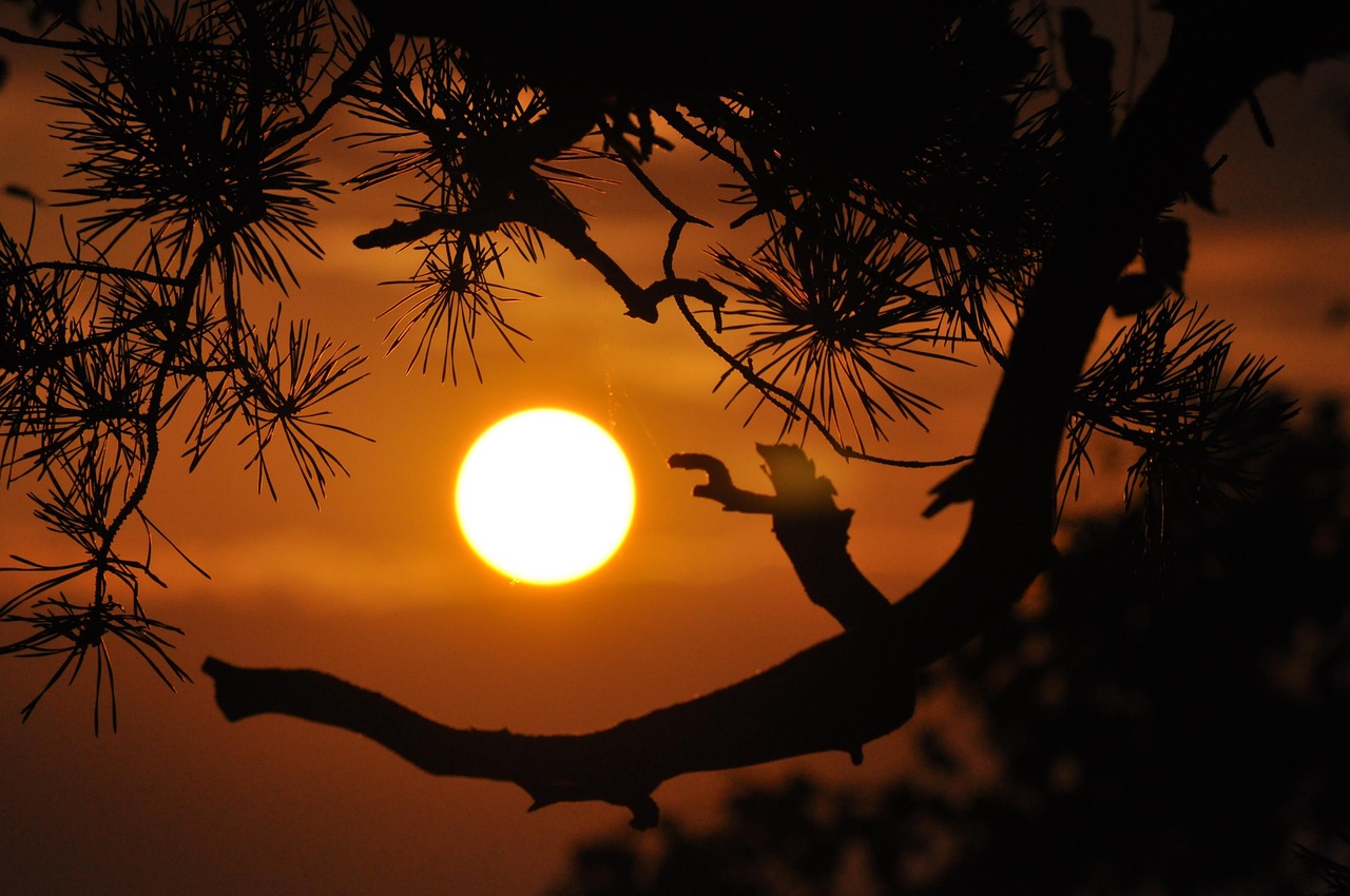 cover Saturday’s weather reaching high of 36C
