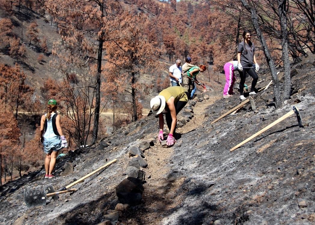 cover After the flames: climate adaptation Cyprus&#8217; best defence