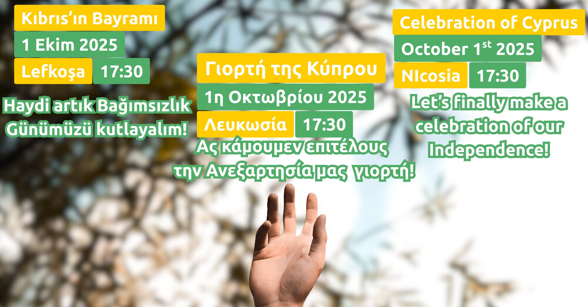 cover Celebration of Cyprus in central Nicosia