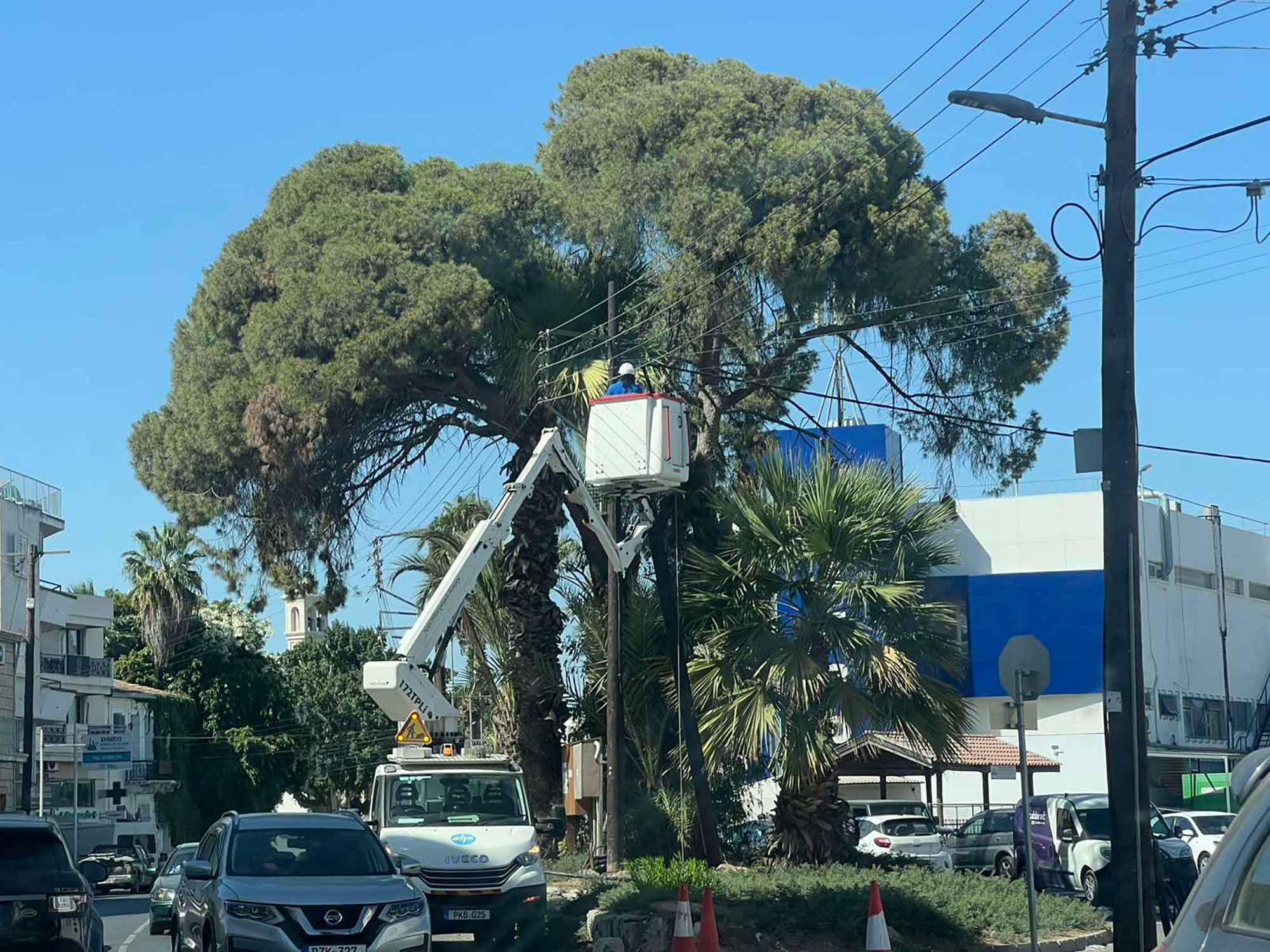 cover Fallen tree knocks out power in Larnaca