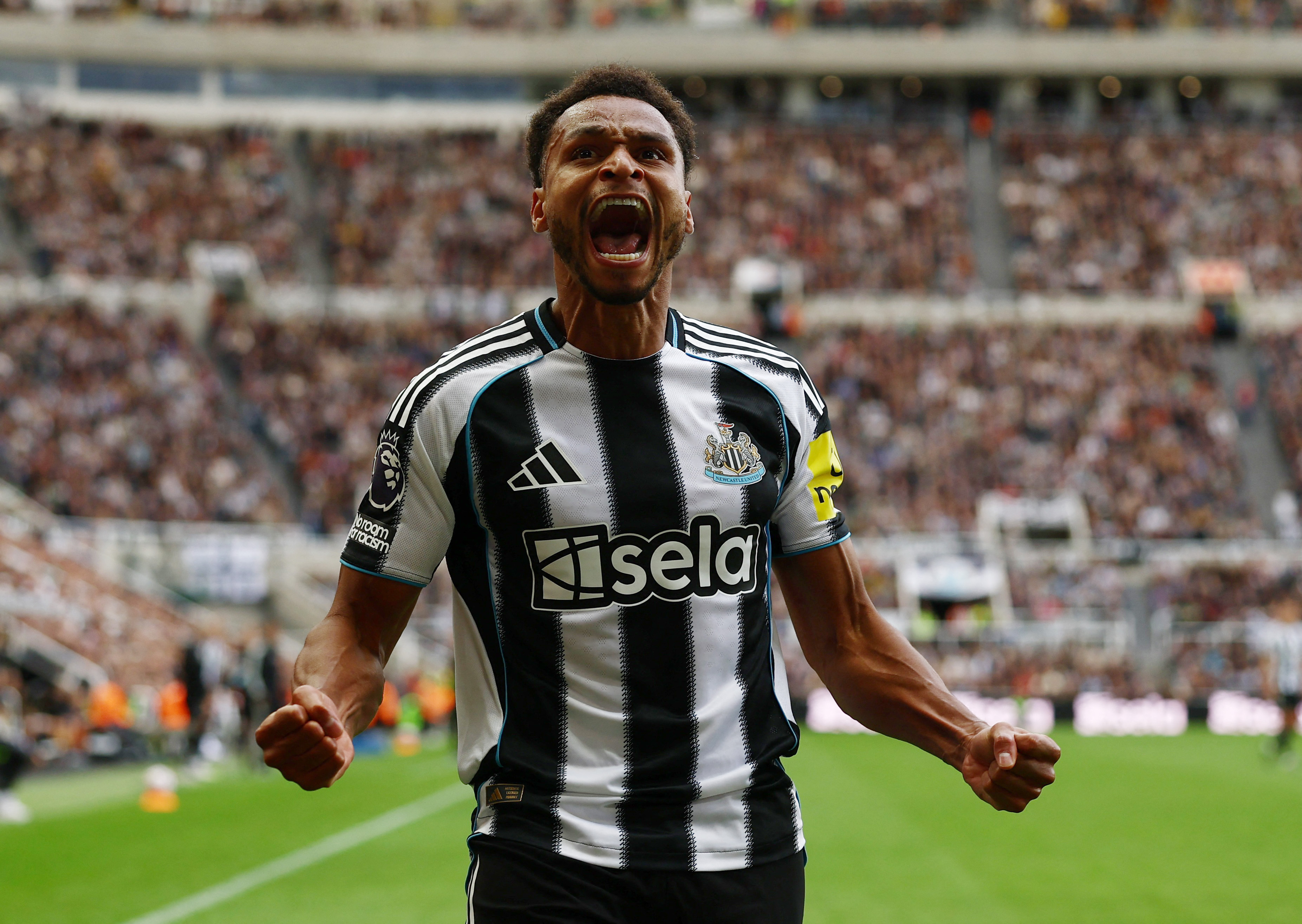 cover Newcastle edge Wolves as Woltemade scores on dream debut