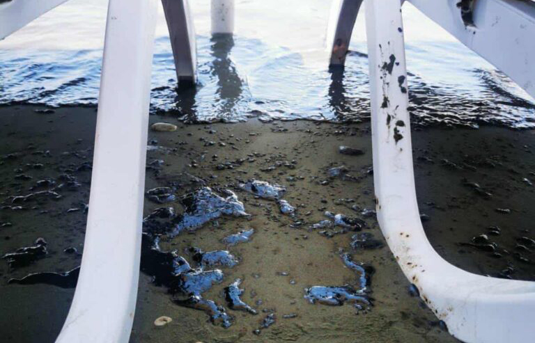 cover Larnaca port oil spill cleaned up, says fisheries department