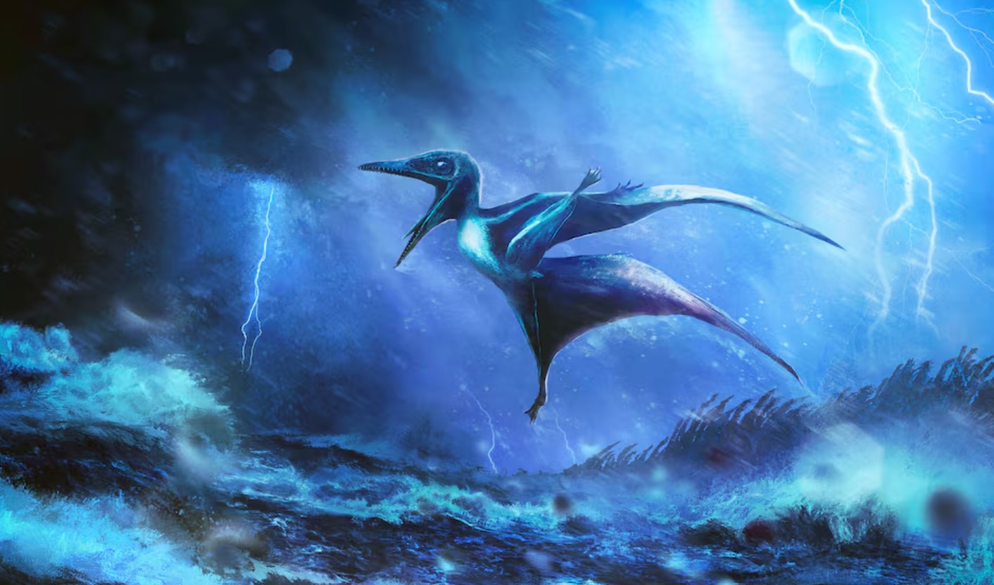 cover Fossils tell story of baby flying reptiles doomed by tropical storms