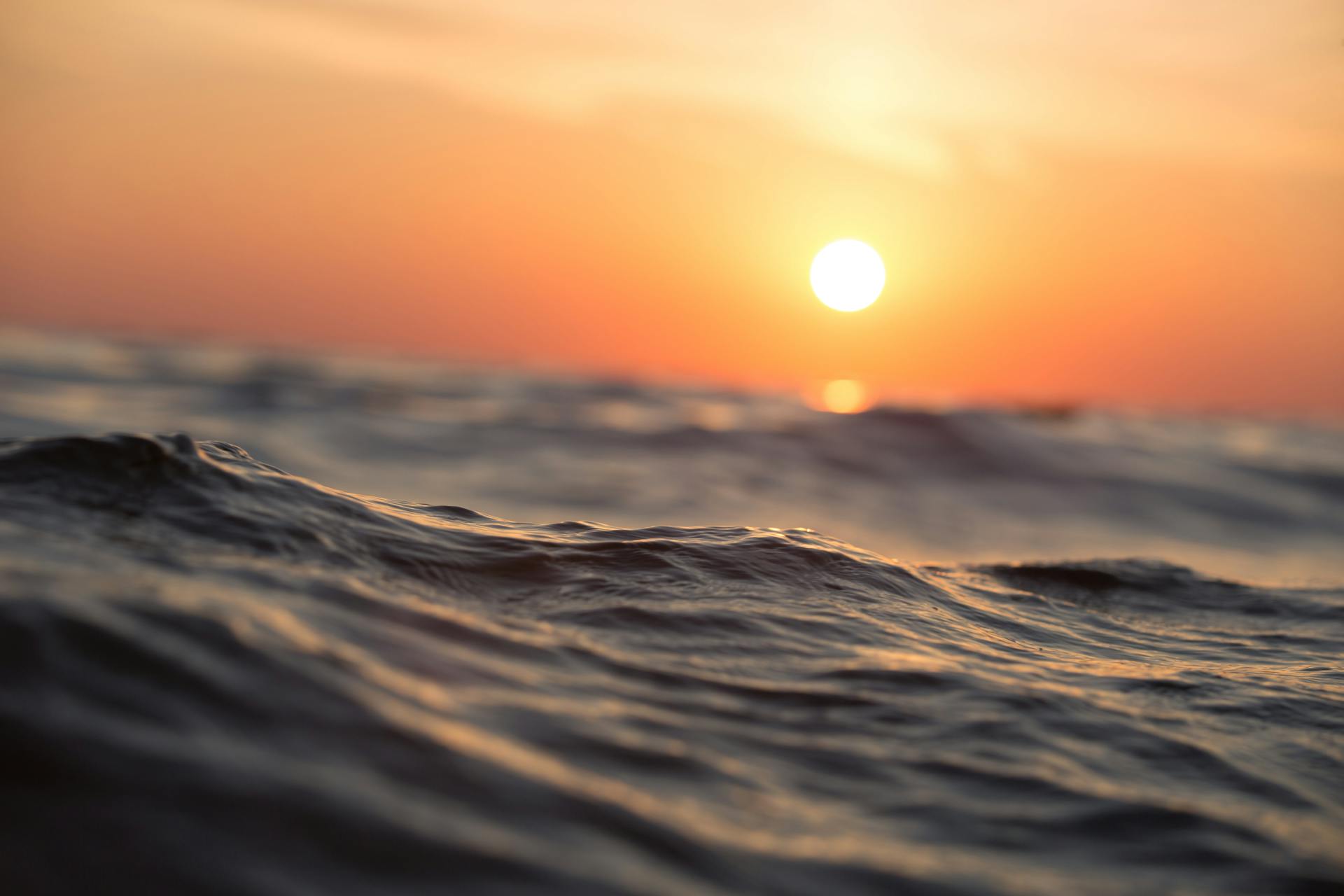 cover Inside Europe’s virtual ocean platform: a game-changer for marine protection