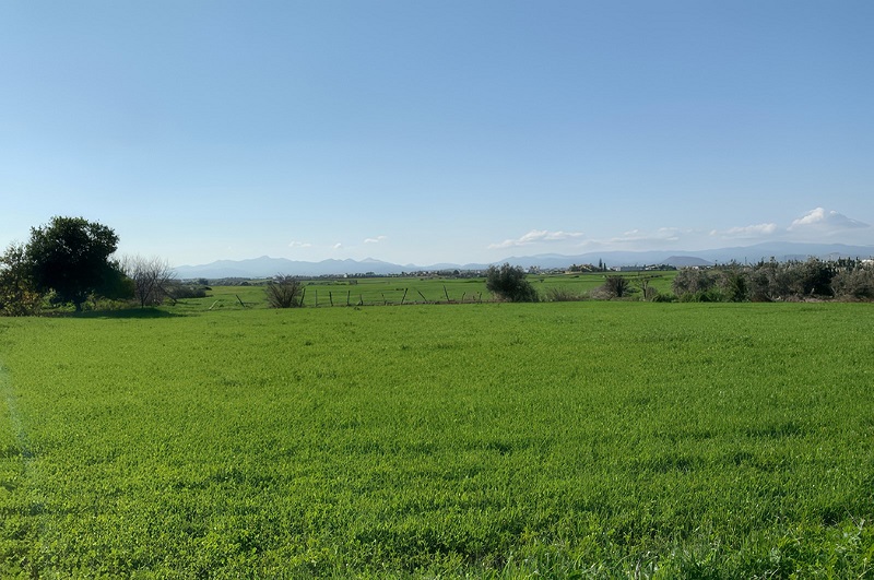 cover THEMIS: October e-auctions to feature 180+ agricultural land plots from €1K