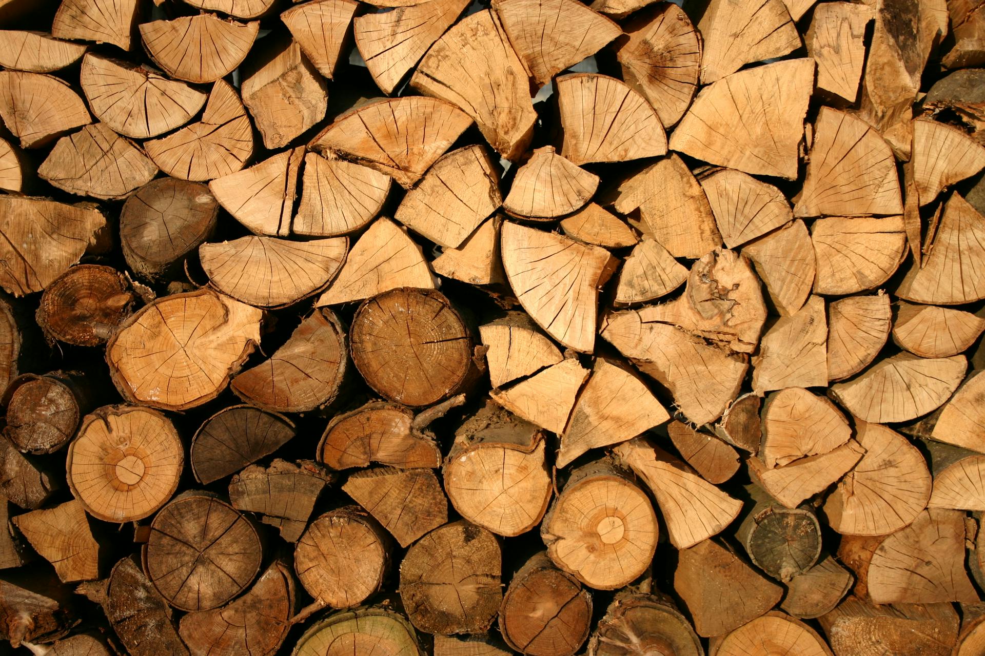 cover Repurposing wood waste for a clean, green alternative to fossil-based chemicals