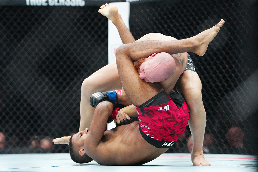 cover UFC fights to take place at White House on June 14, Trump says