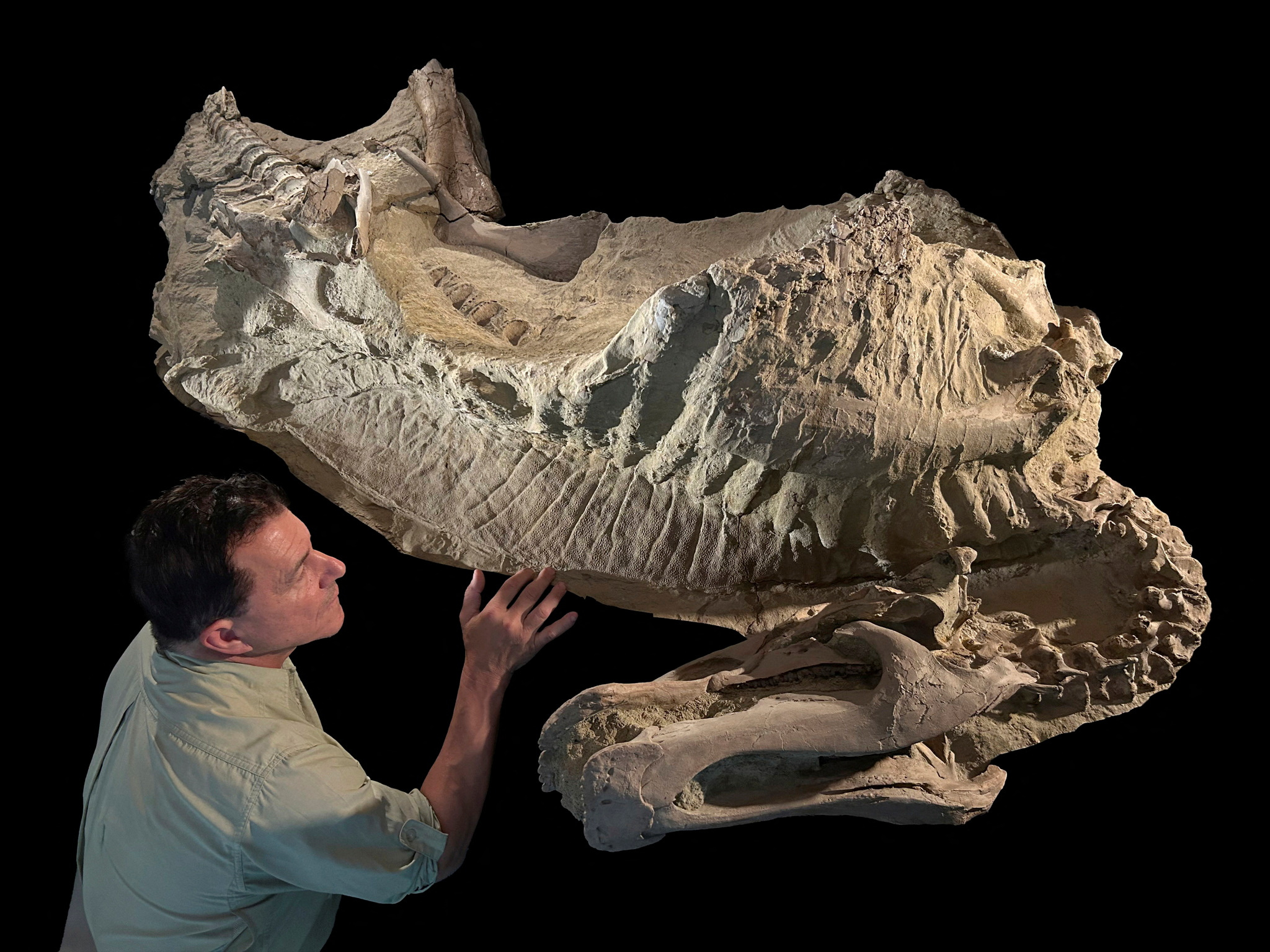 cover Wyoming dinosaur &#8216;mummies&#8217; reveal a surprise: hoofed feet