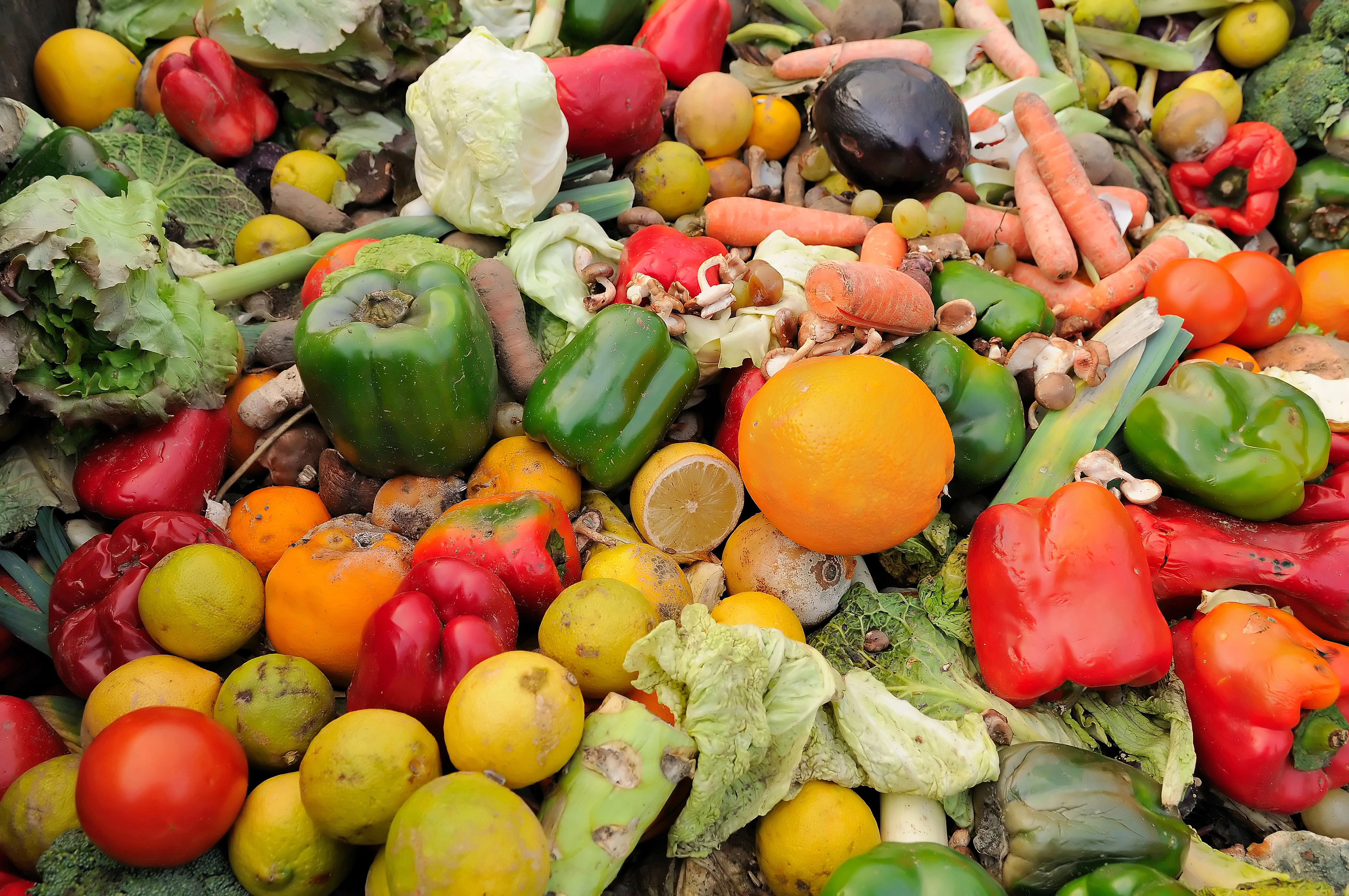 cover Cyprus tops EU in food waste