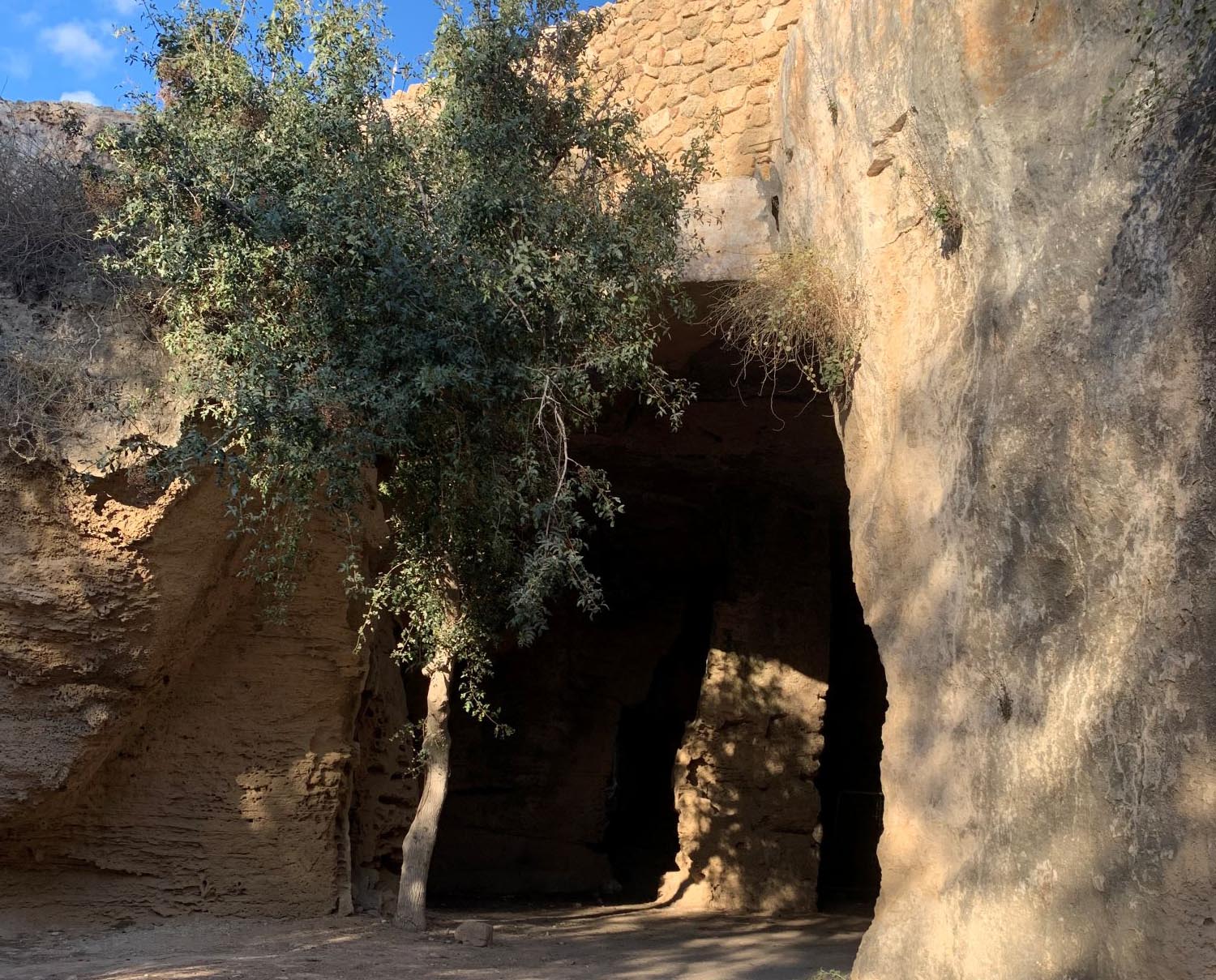 cover Art, history and archaeology at Paphos exhibition