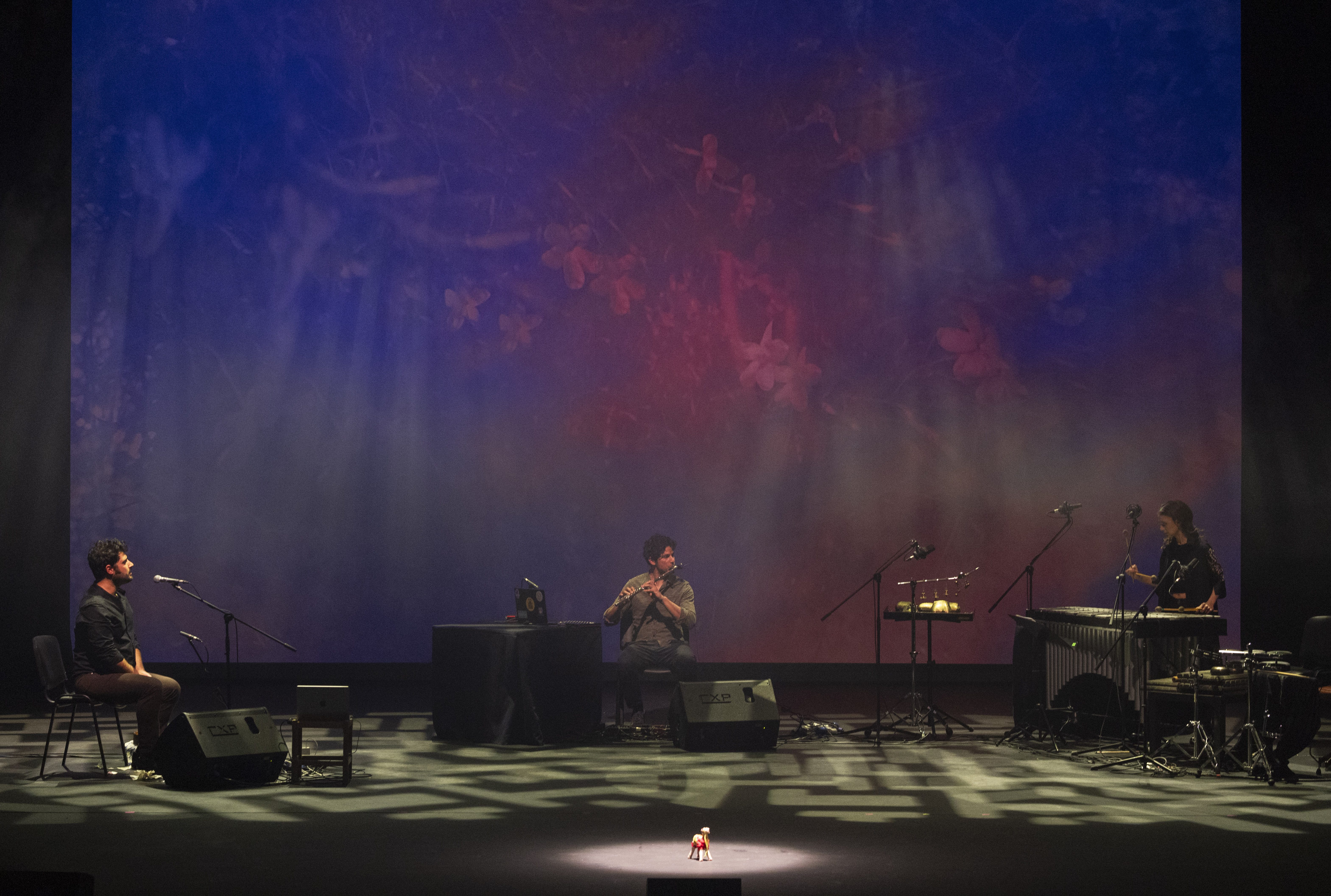 cover Soundscapes of Nicosia brought to life