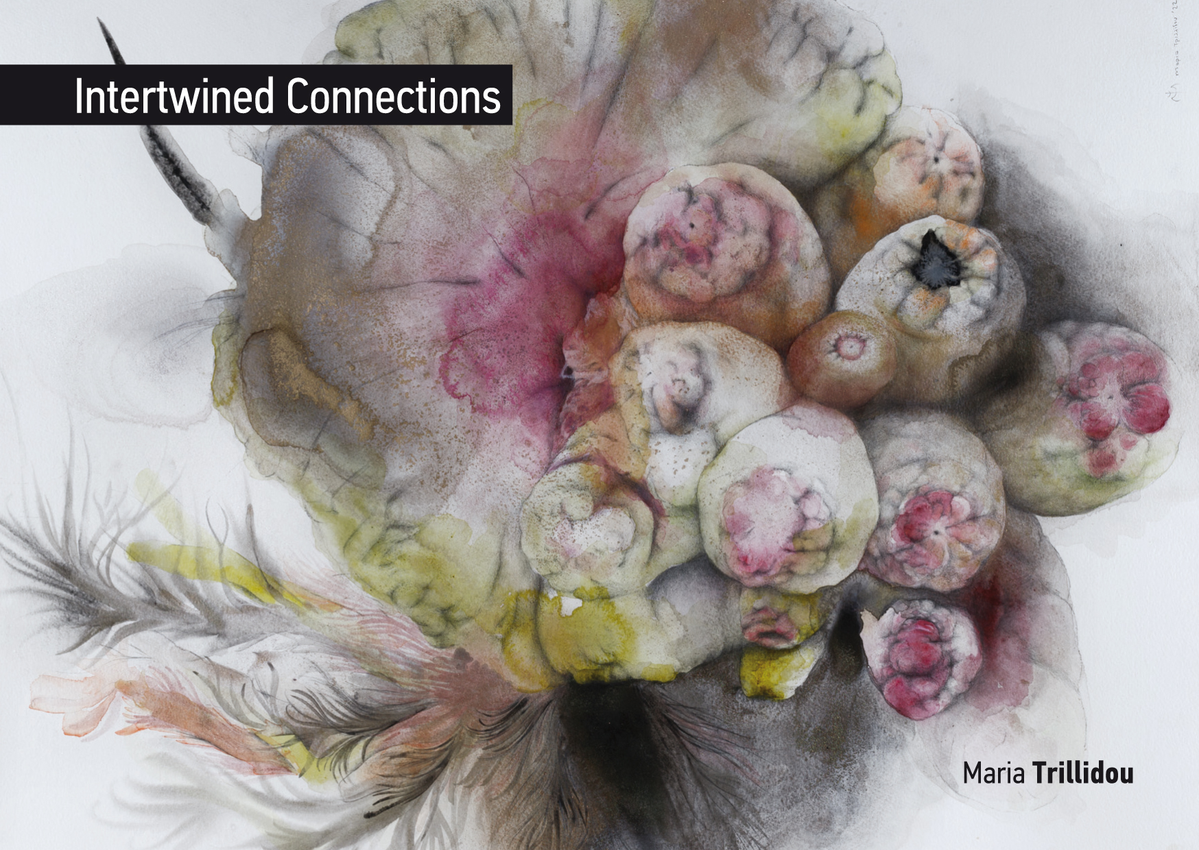 cover Two different venues host exhibition