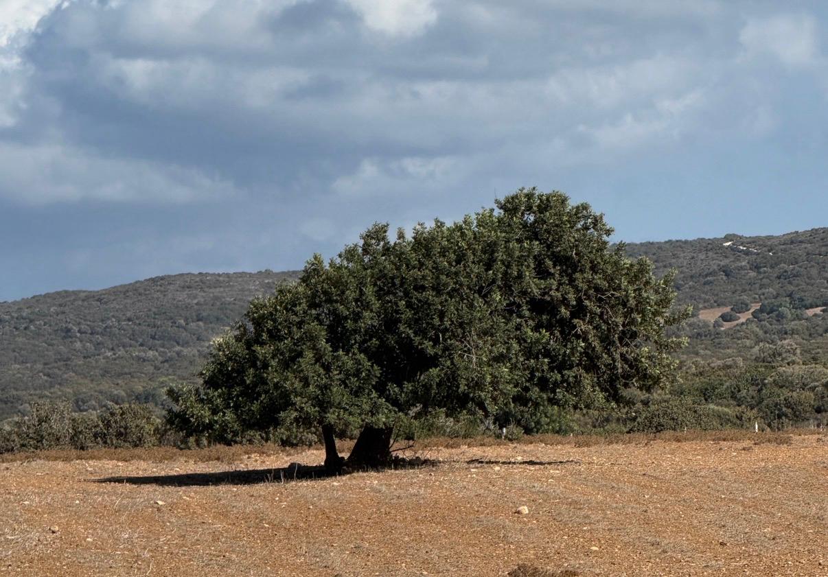 cover Today’s weather: Mostly sunny, clouds at times
