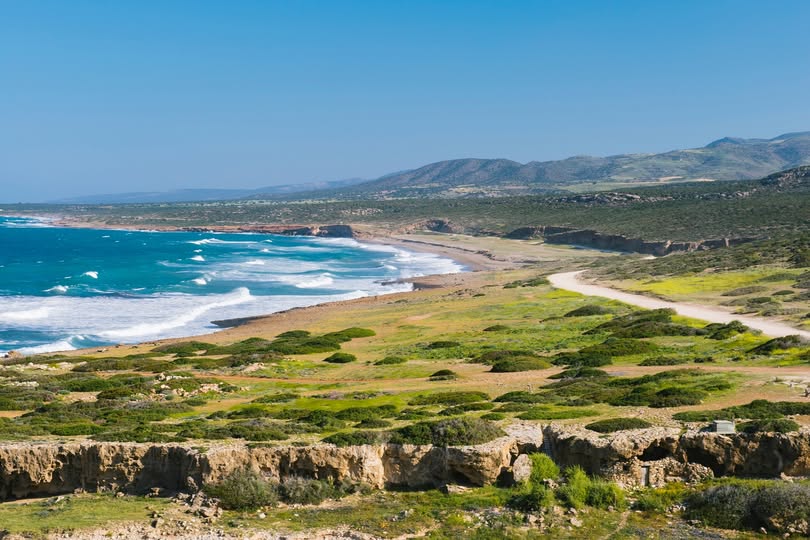 image BirdLife welcomes rejection of villa complex near turtle nesting site