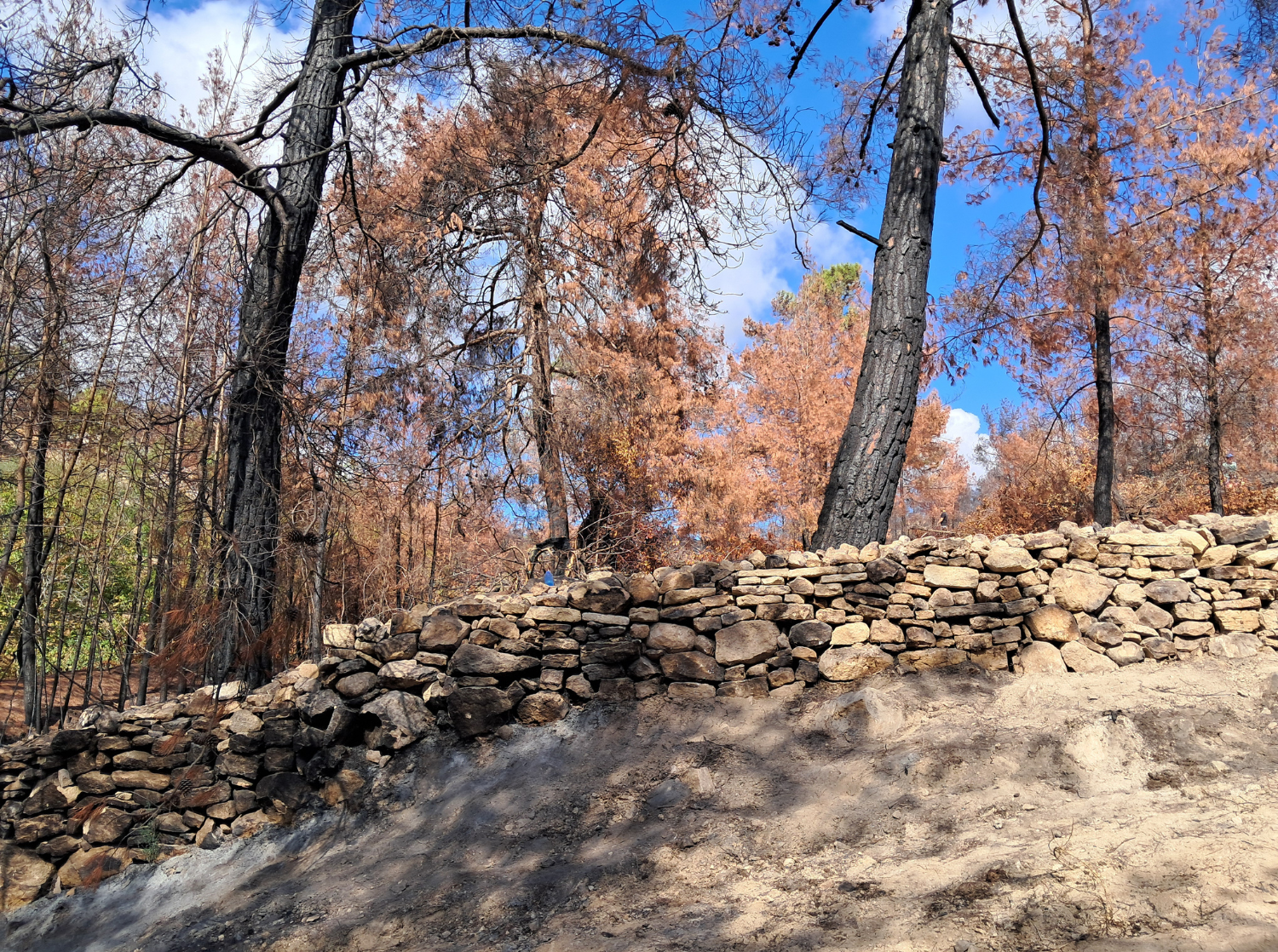 cover Traditional anti-flooding works restored in fire hit villages