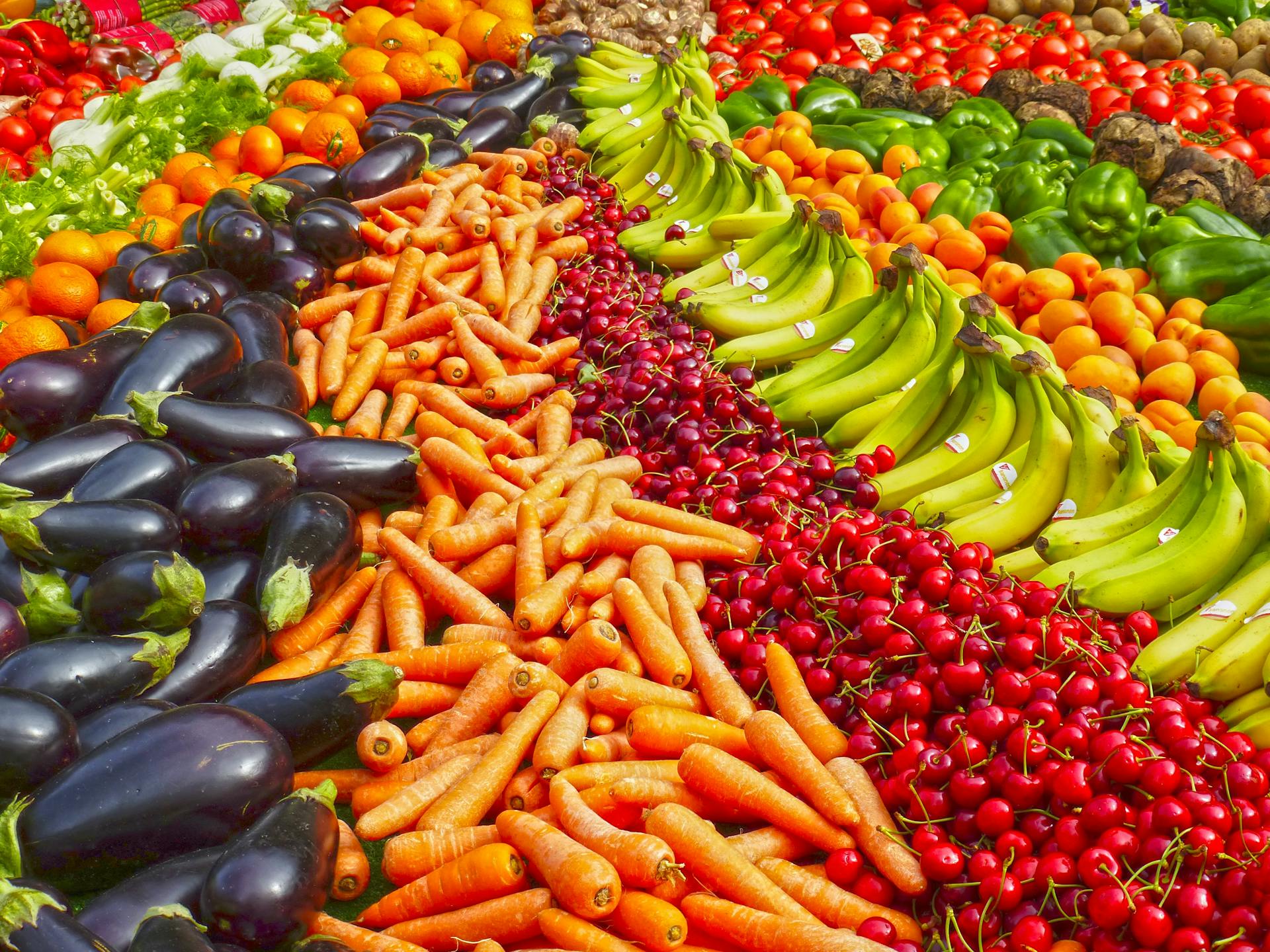 cover Linking diet and health: Europe’s drive to curb cardiovascular diseases and obesity