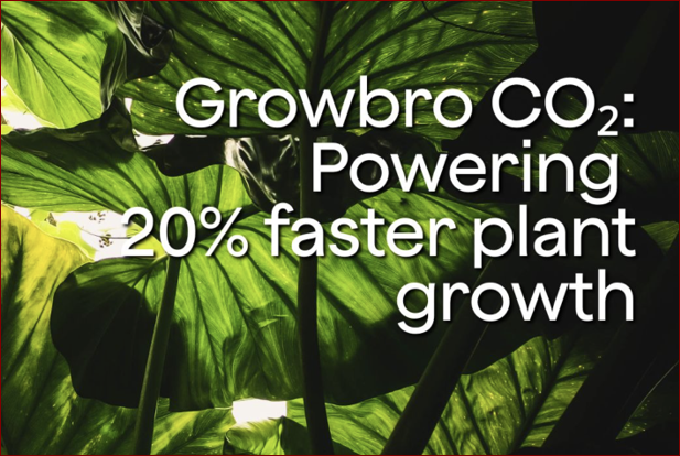 image Ramdon Ltd Growbro CO2 boosts plant growth by 20%
