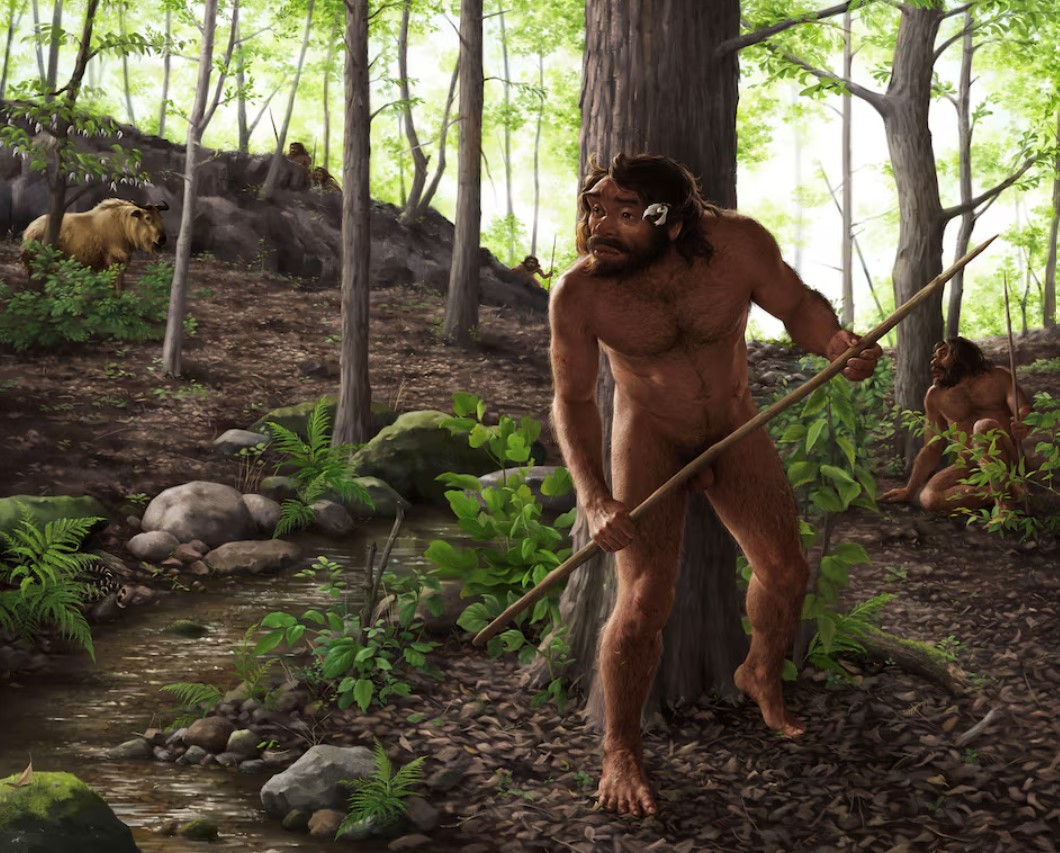cover Ancient skull from China may shake up timeline of human evolution