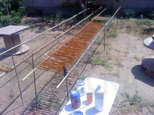 image Man found with over 100 limesticks, one bird released