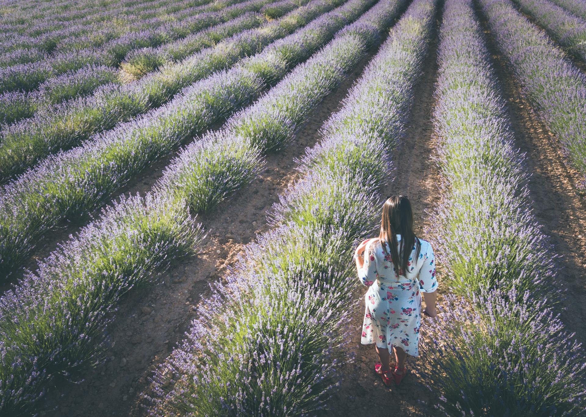 image Breaking through barriers: the women driving rural innovation in Europe