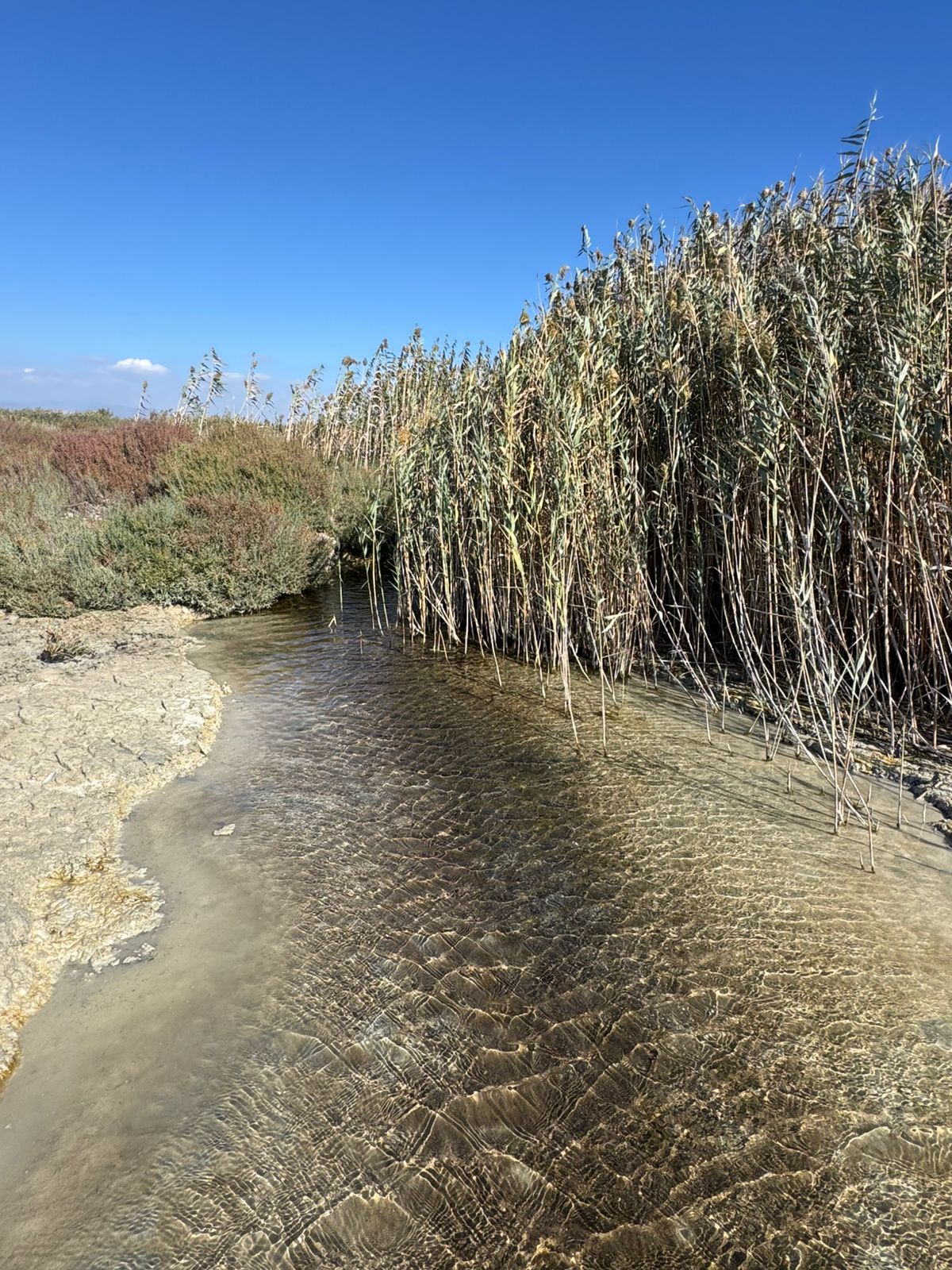 Akrotiri, environment, pollution, Terra Cypria