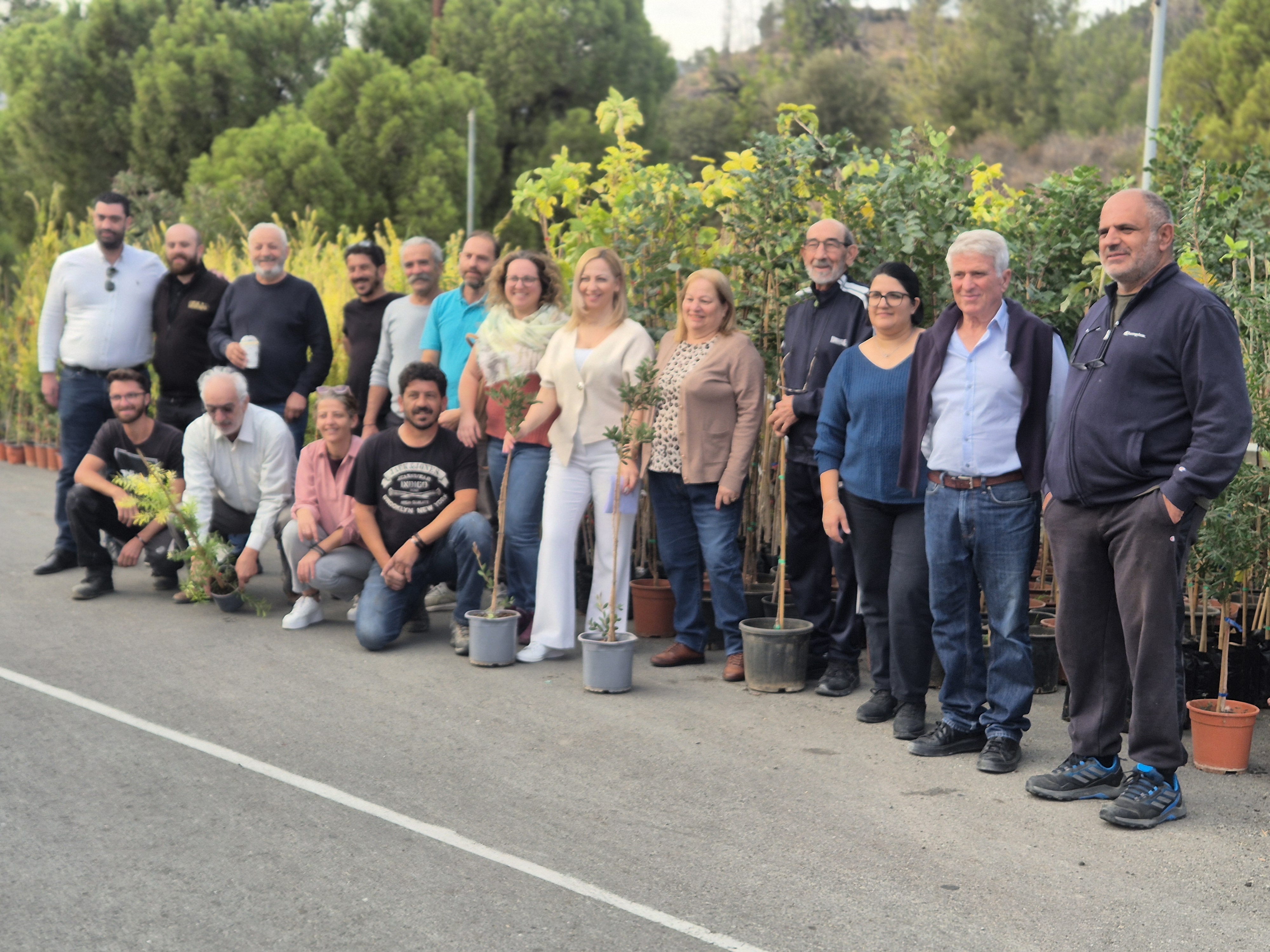 Honey, villages, tree, trees, bee, bees