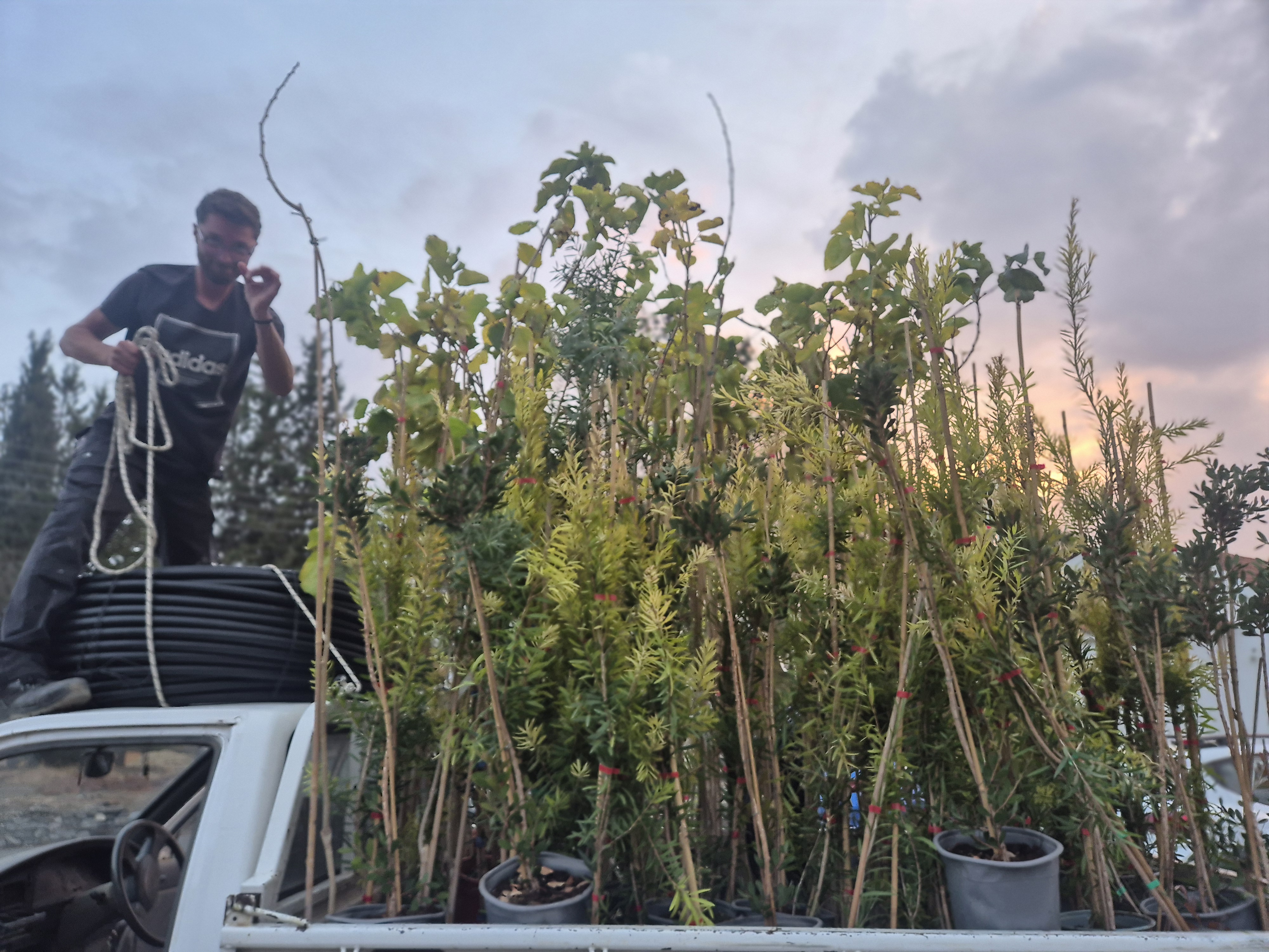 cover Green initiative launched in Larnaca bee villages